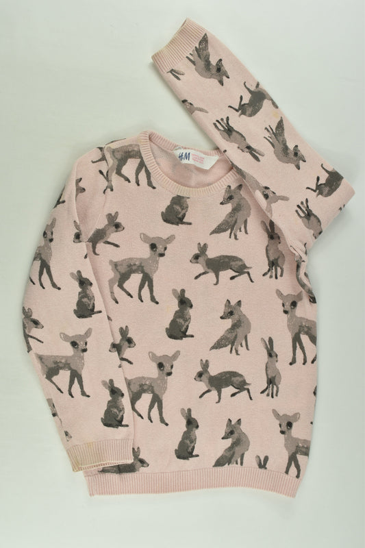 H&M Size 3-4 Forest Animals Knit Jumper