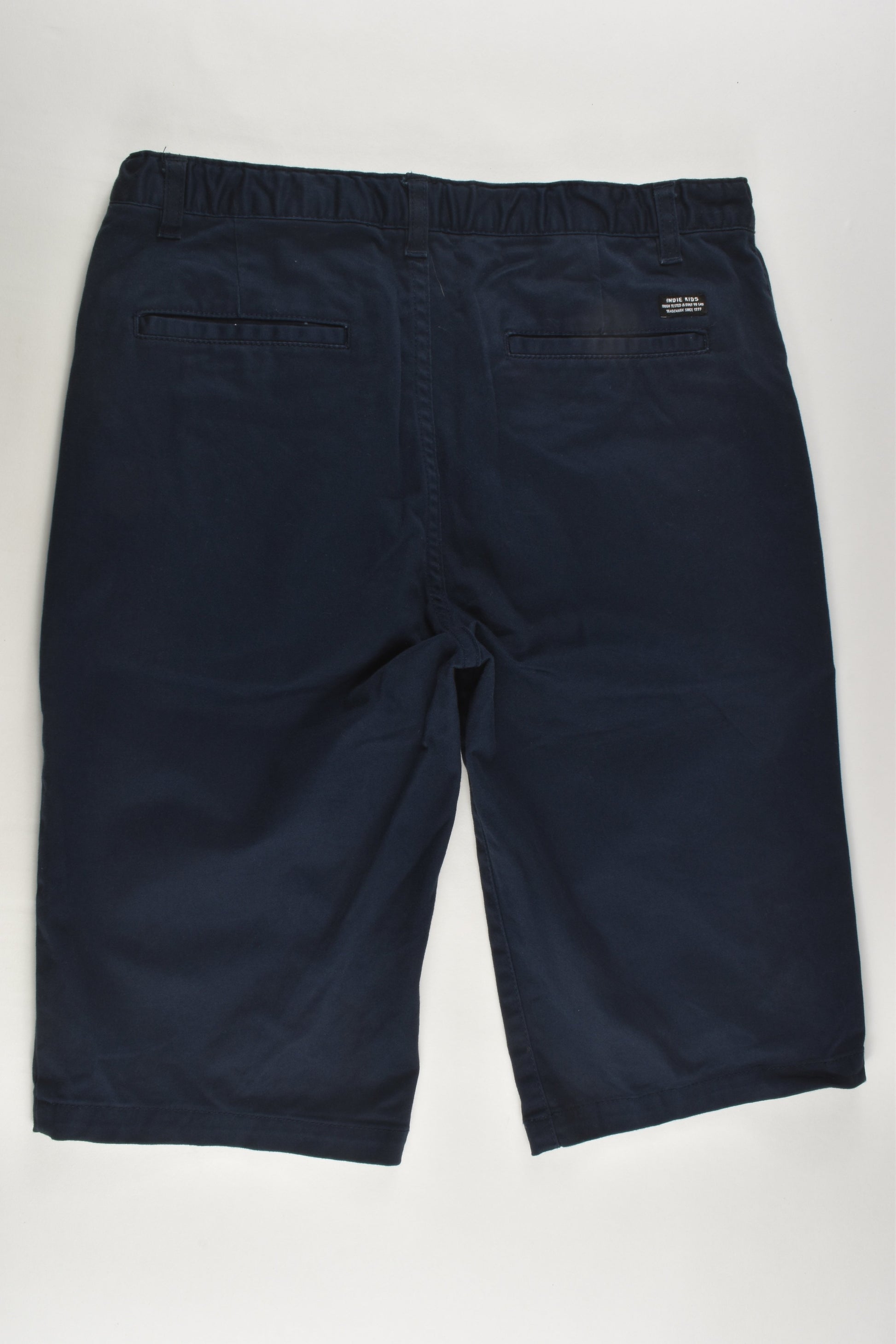 Indie & Co Size 14 Stretchy Shorts