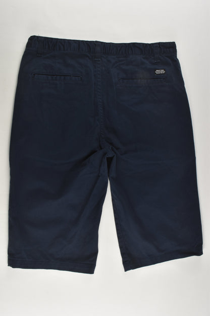Indie & Co Size 14 Stretchy Shorts