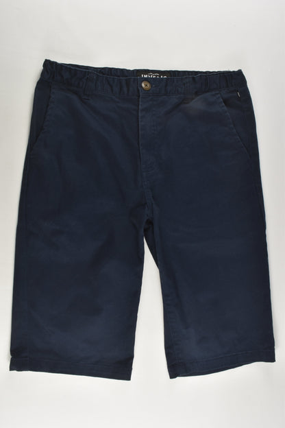 Indie & Co Size 14 Stretchy Shorts
