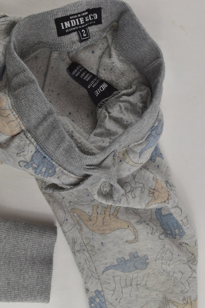 Indie & Co Size 2 Dinosaur Track Pants
