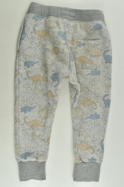 Indie & Co Size 2 Dinosaur Track Pants