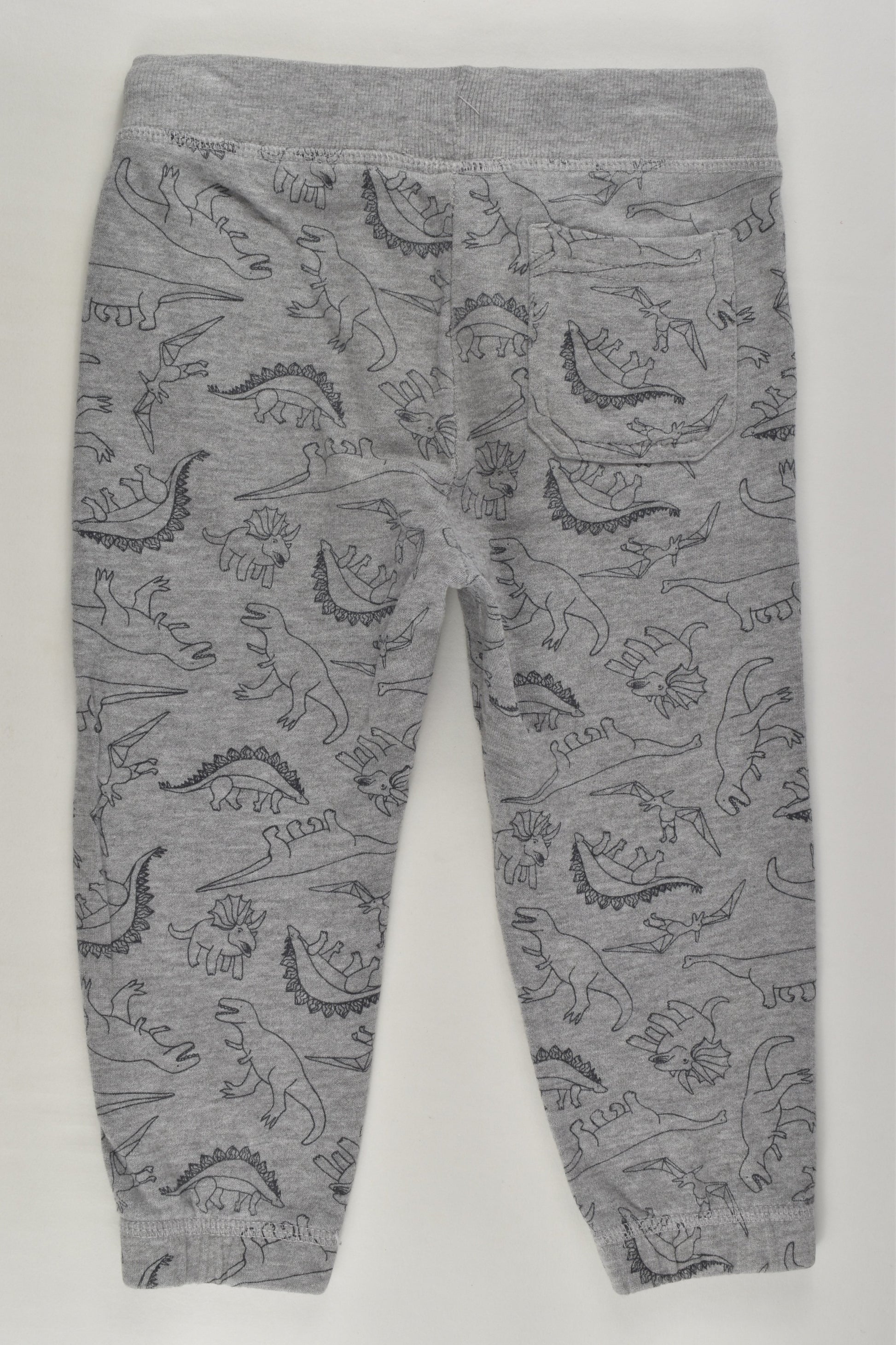 Kids & Co Size 2 Dinosaur Track Pants