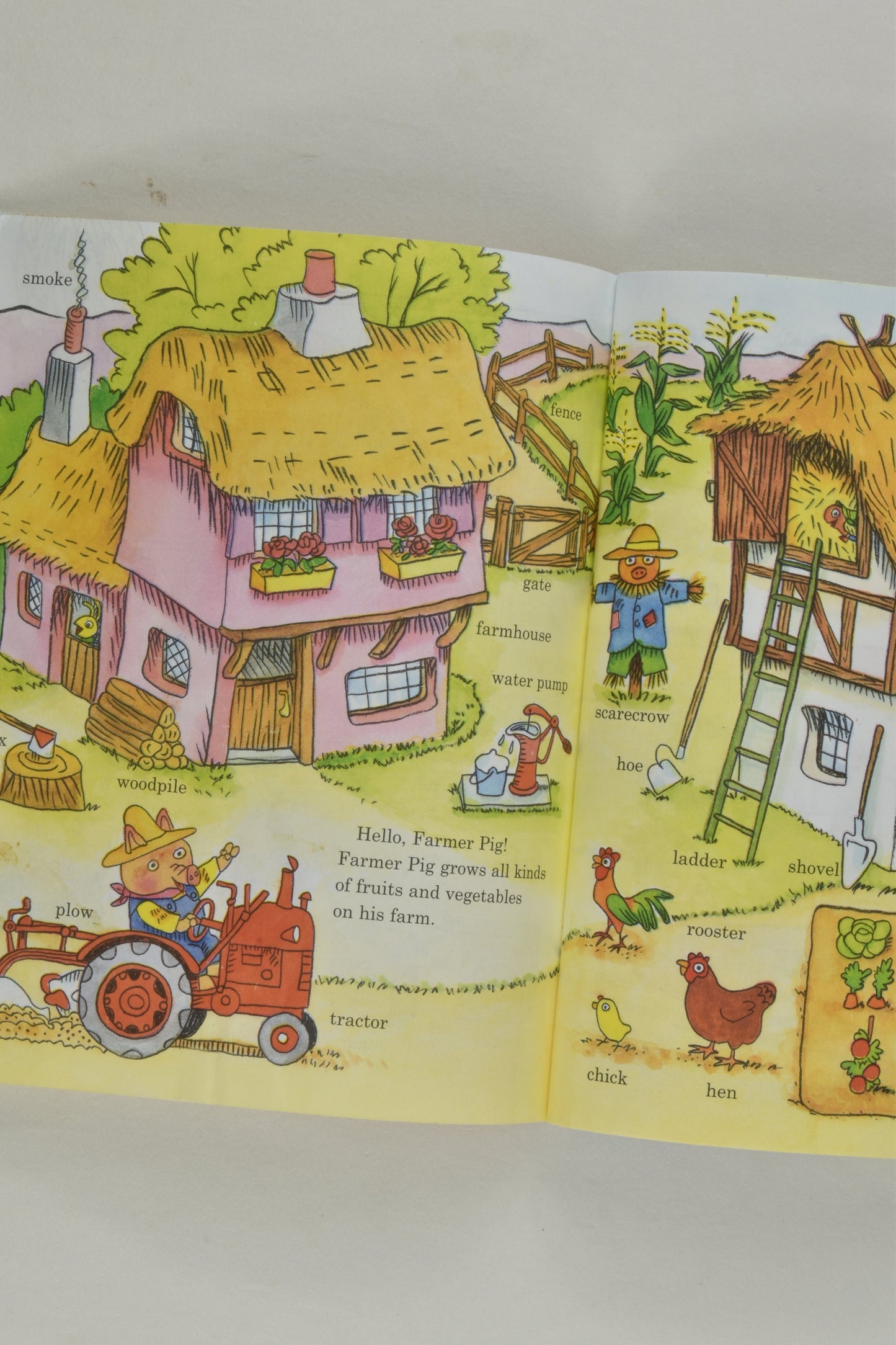 Little Golden Book Richard Scarry's 'Best Little Word Book Ever'