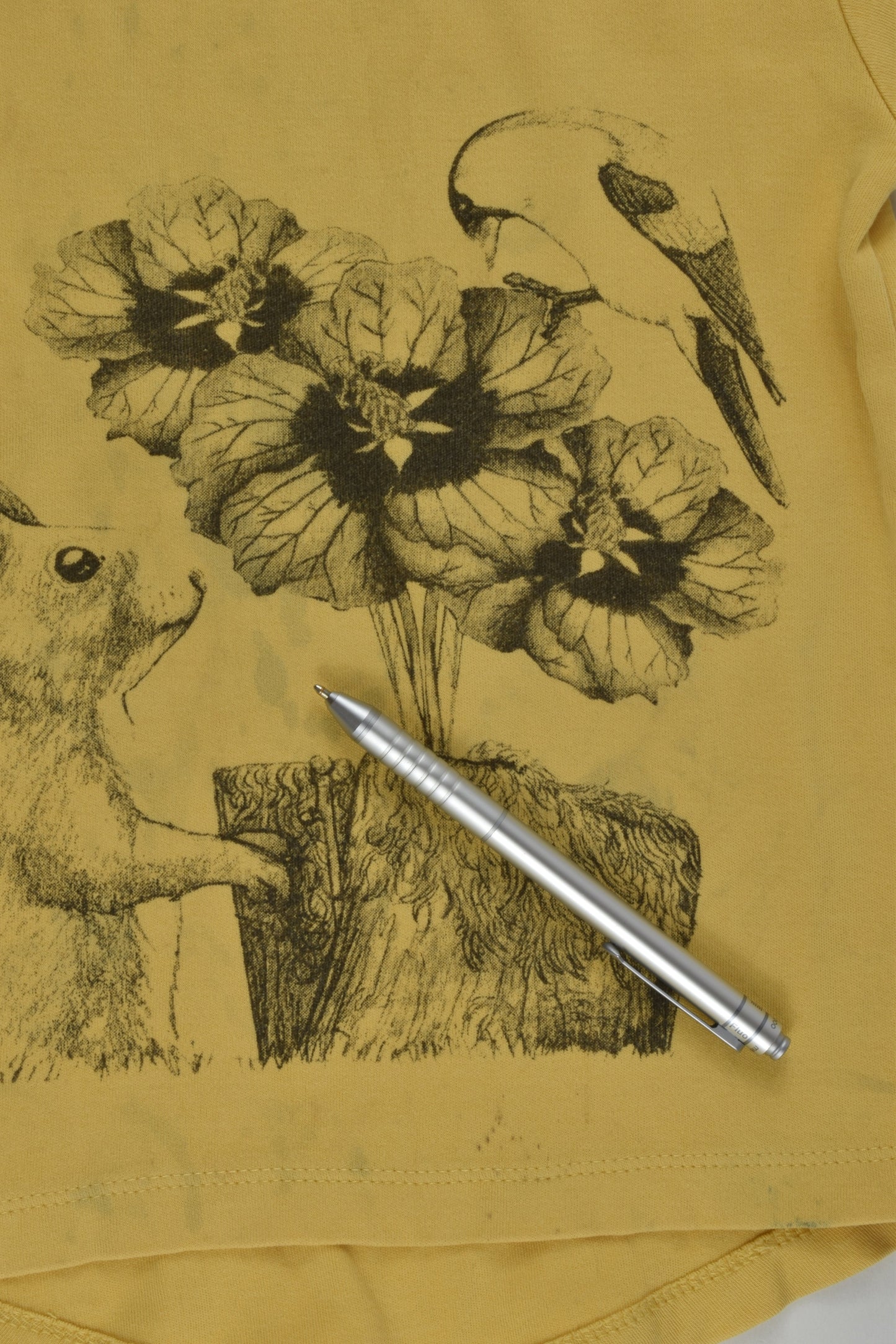 Little Vinnie Clothing Size 2 Organic Squirrel T-shirt