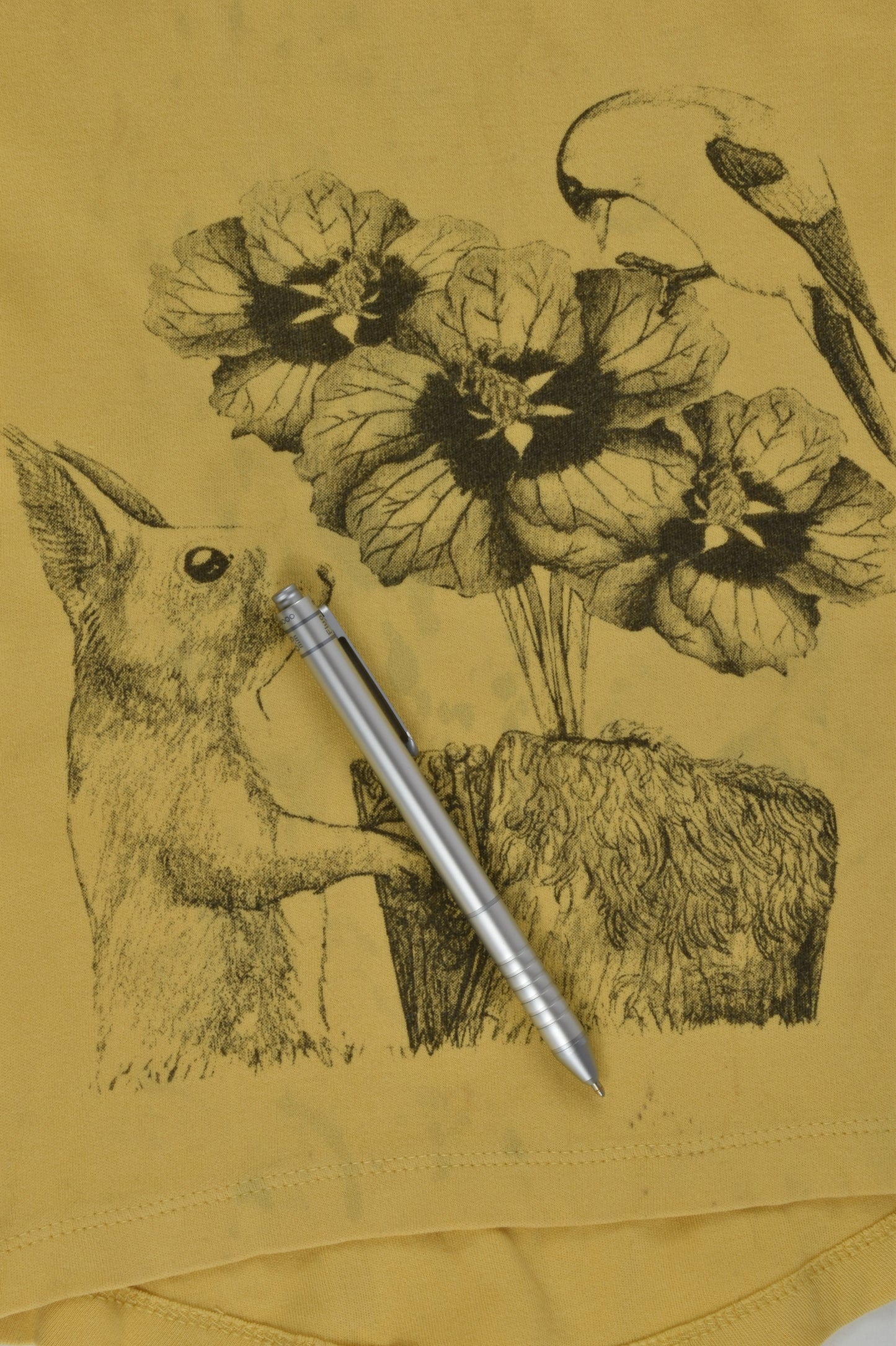 Little Vinnie Clothing Size 2 Organic Squirrel T-shirt