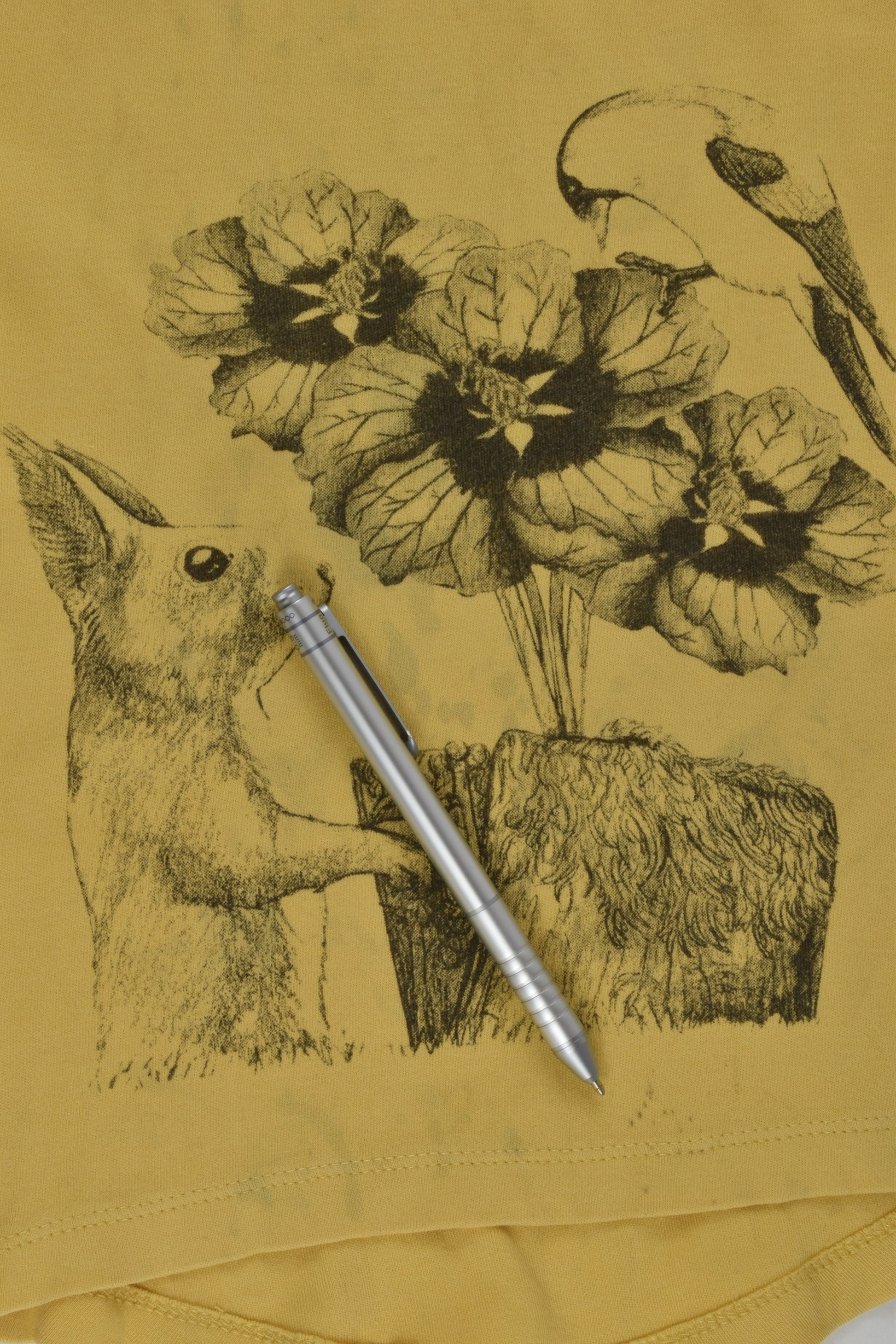 Little Vinnie Clothing Size 2 Organic Squirrel T-shirt