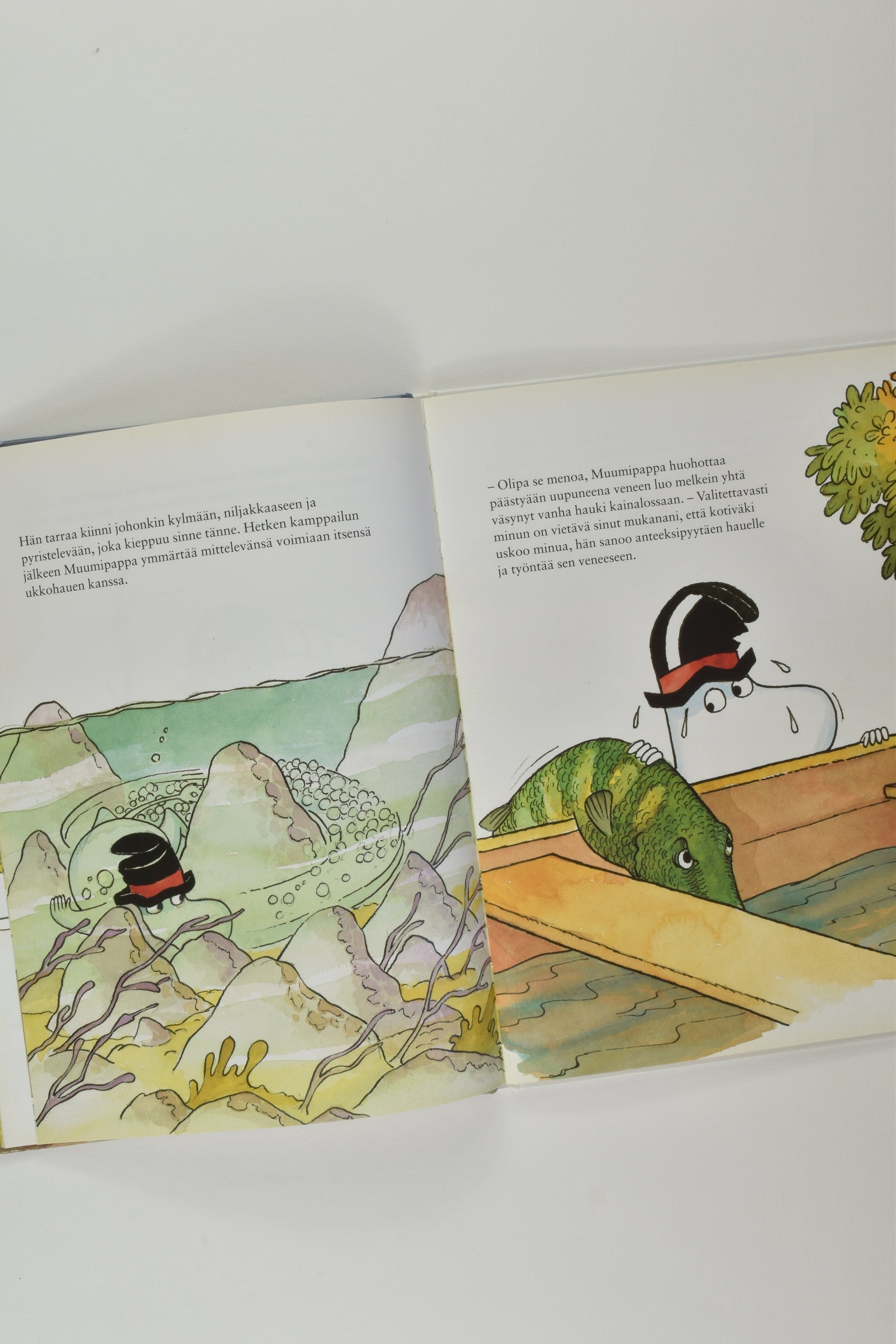 Moomin 'Muumi ja Uskomaton Kalareissu' Finnish Book