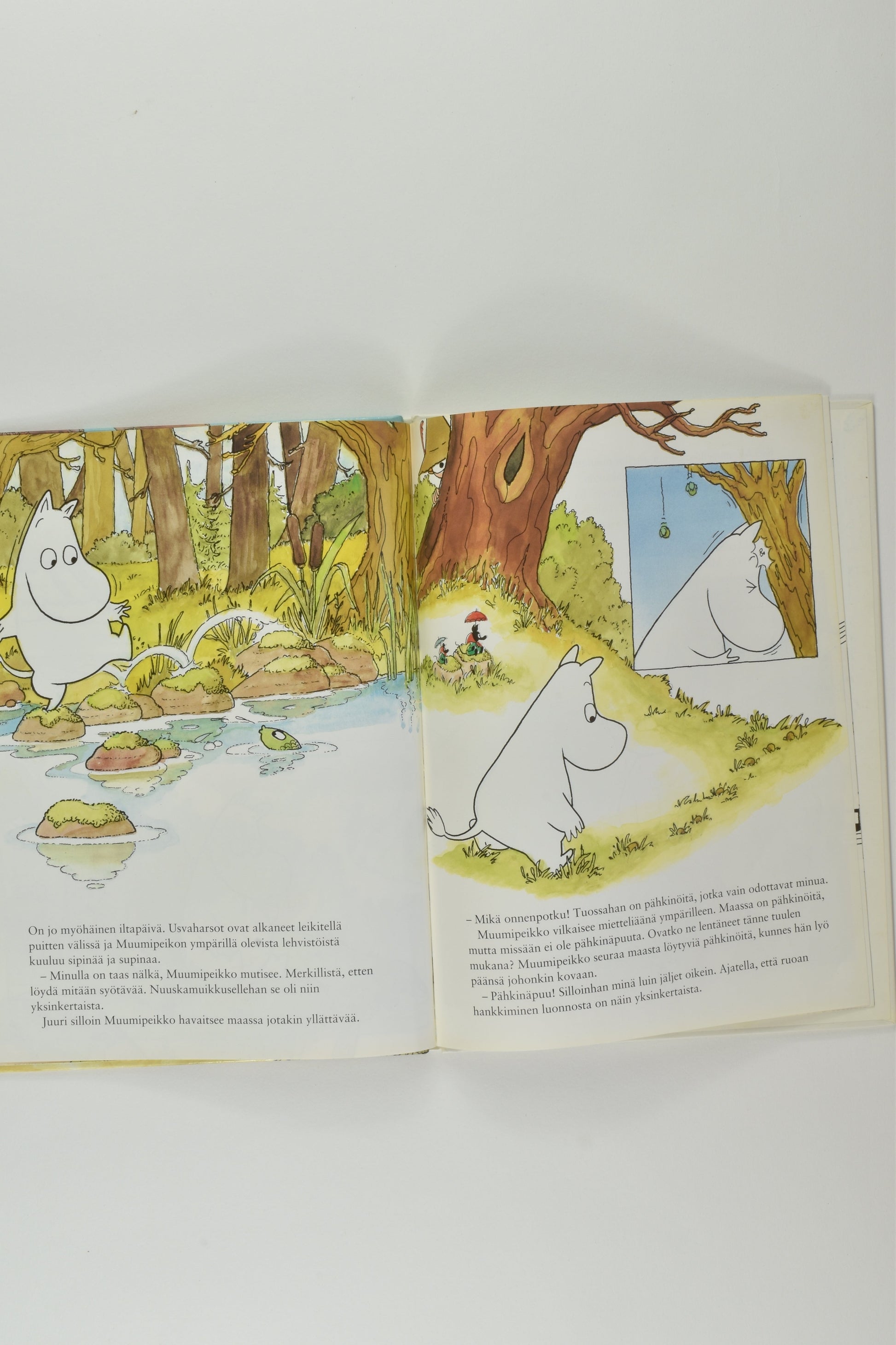 Moomin 'Osaatko Kotiin, Muumipeikko?' Finnish Book