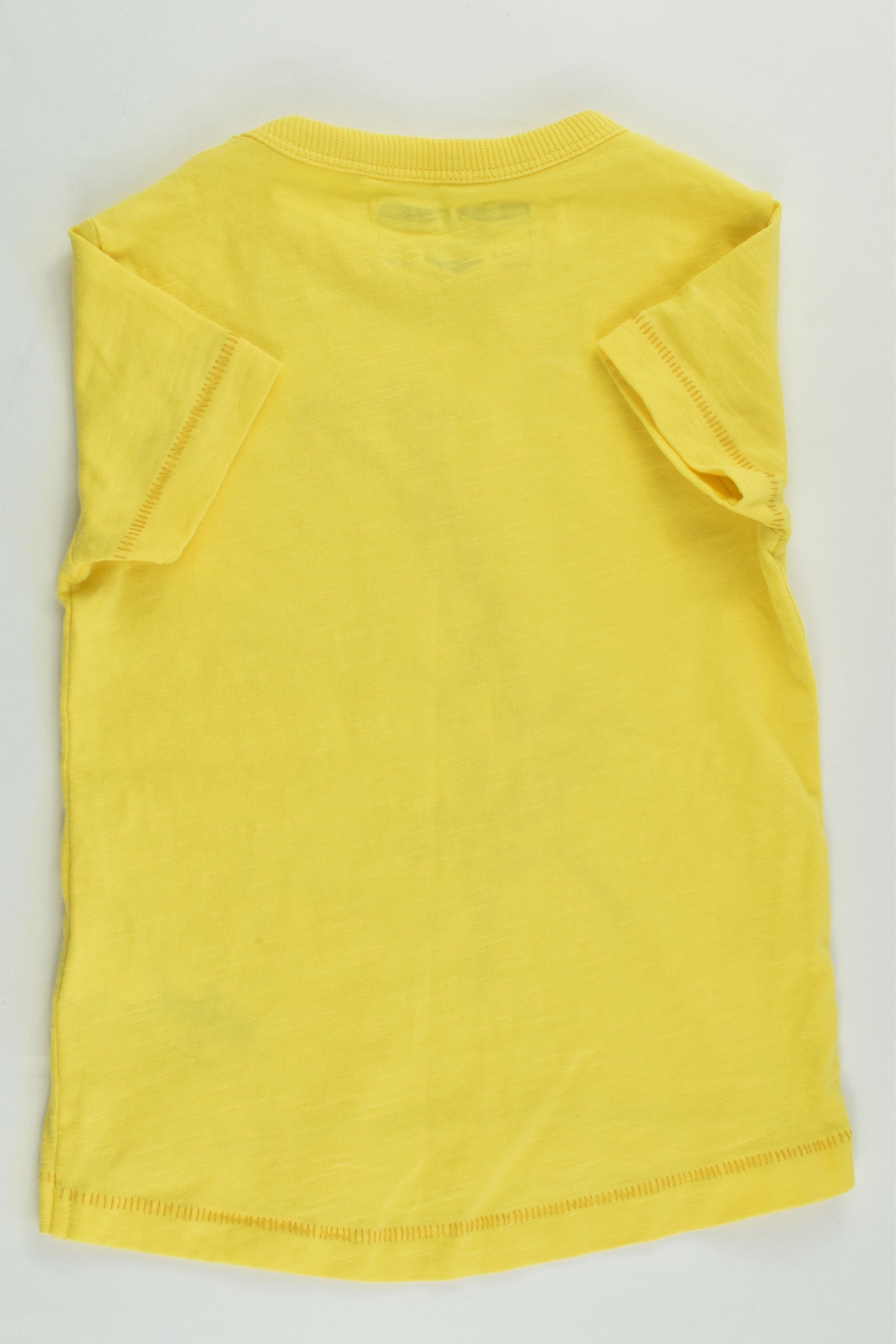 NEW Next Size 0 (6-9 months) Giraffe 'Play All Day' T-shirt