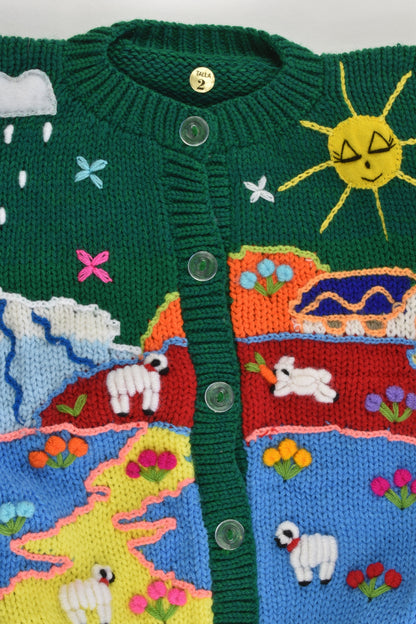 NEW Peruvian Handmade Size 2 Wool Jumper with Buttons