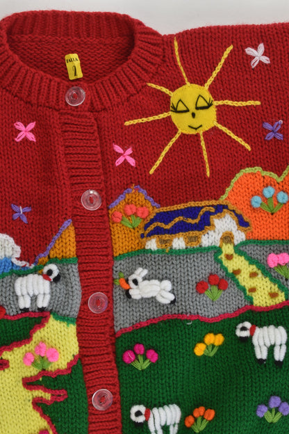 NEW Peruvian Handmade Size 2 Wool Jumper with Buttons