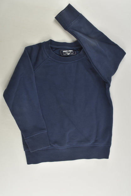 Next Size 2-3 (98 cm) Sweater