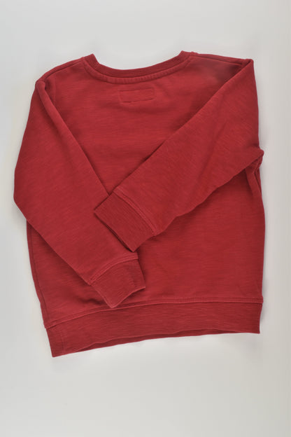 Next Size 2-3 Star Sweater