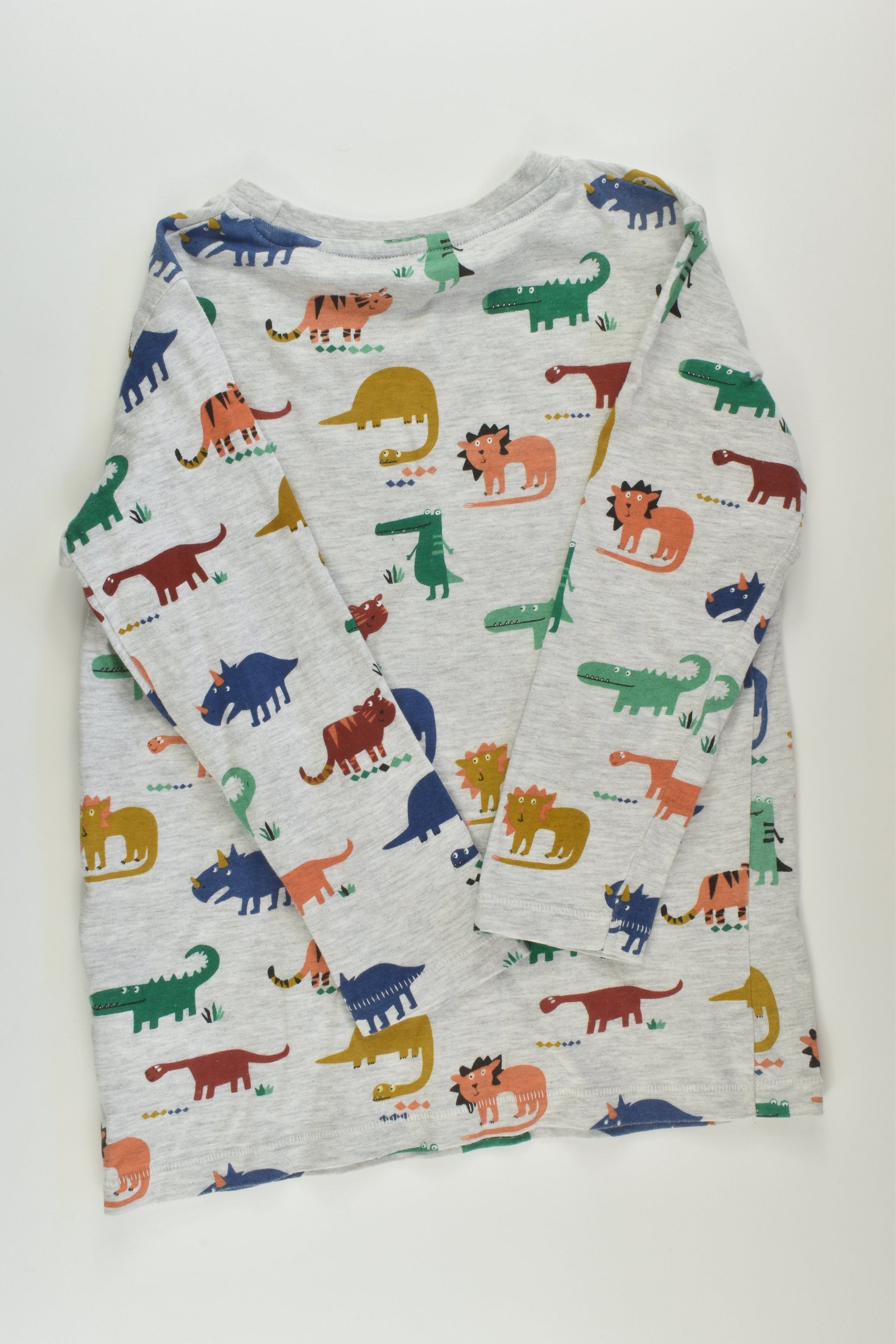 Next Size 6-7 Dinosaur Top