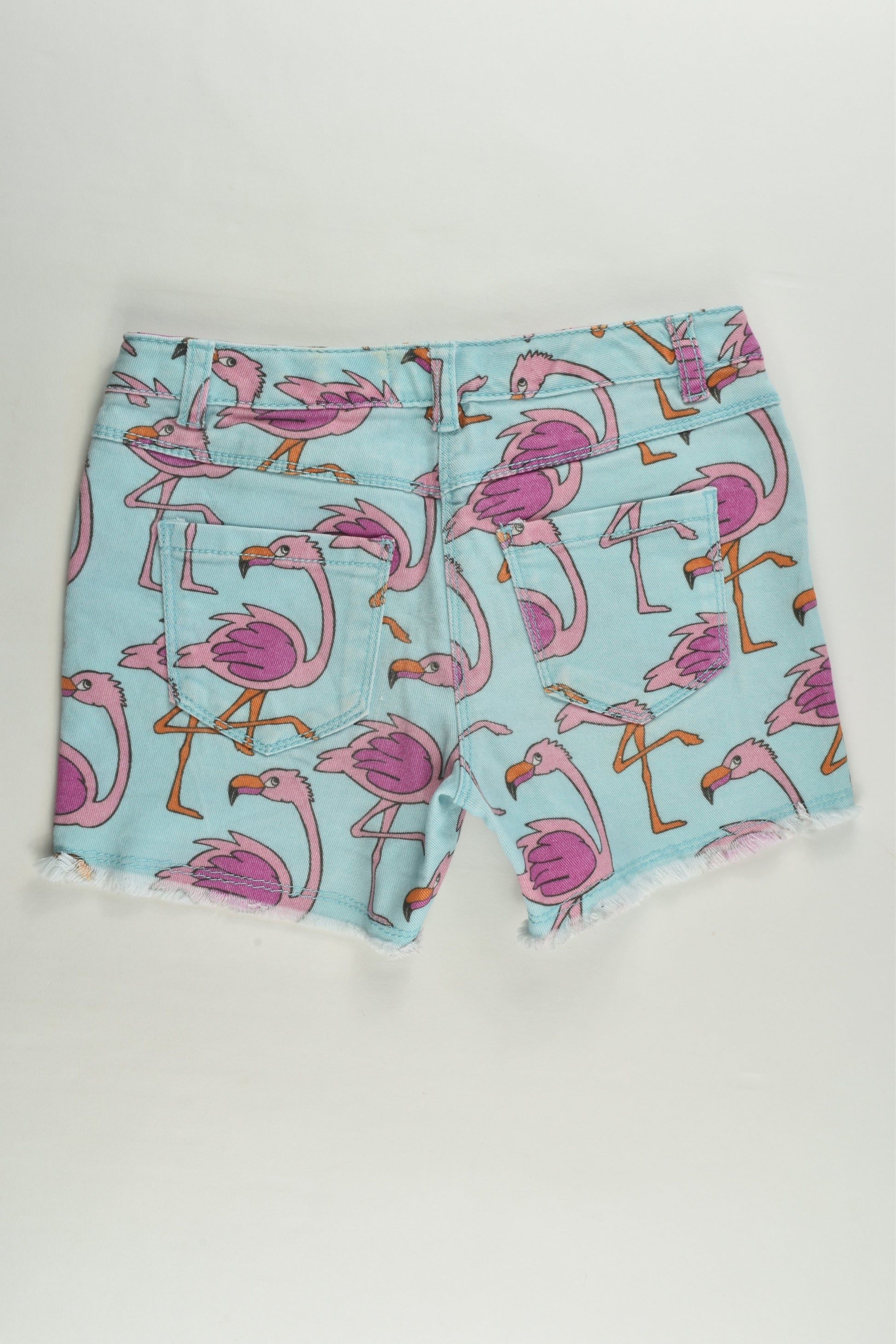 Next Size 9 Flamingo Shorts