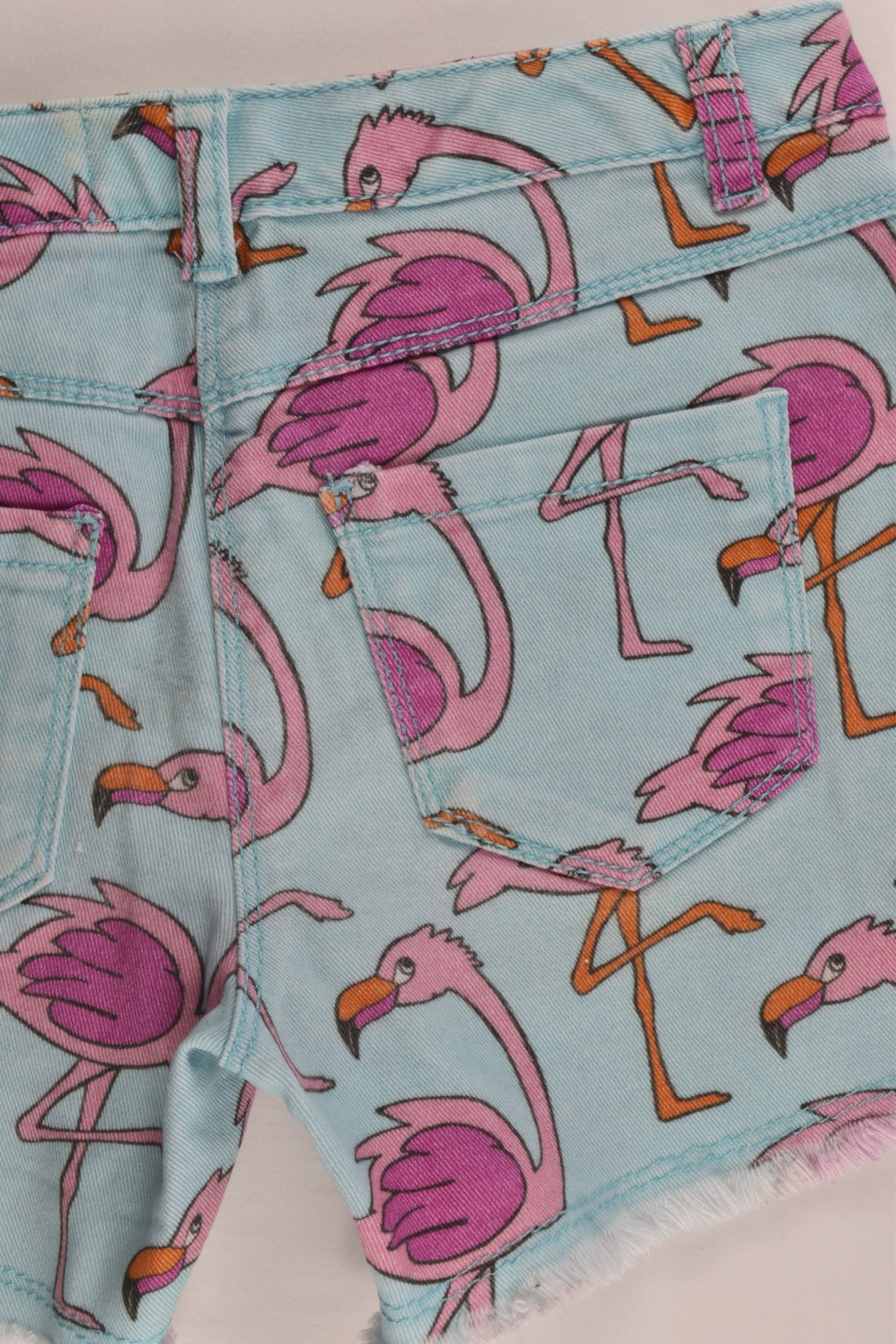 Next Size 9 Flamingo Shorts