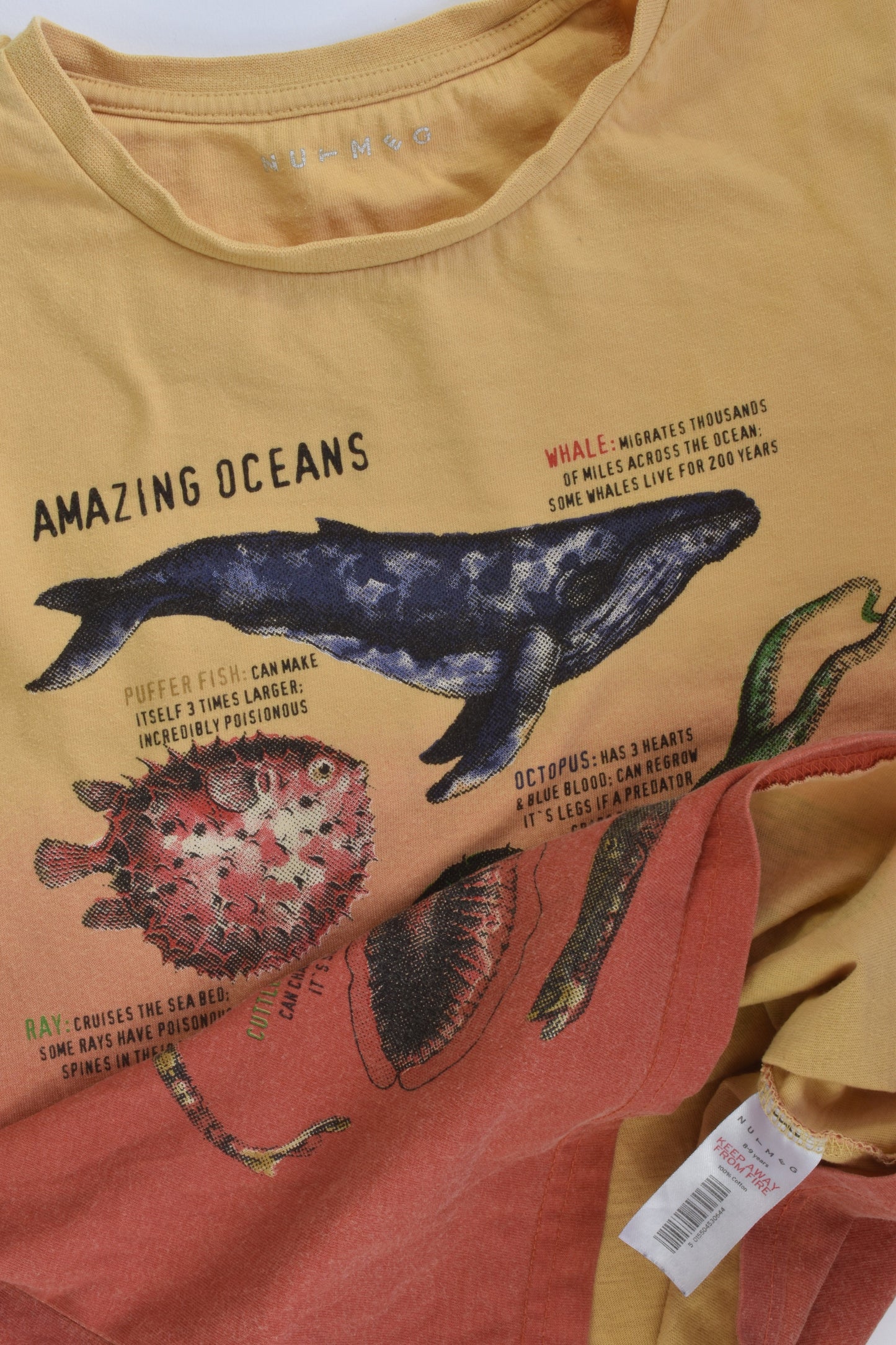 Nutmeg Size 8-9 Ocean Animals T-shirt