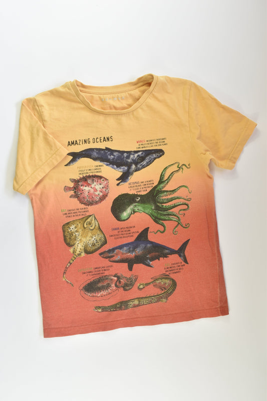 Nutmeg Size 8-9 Ocean Animals T-shirt