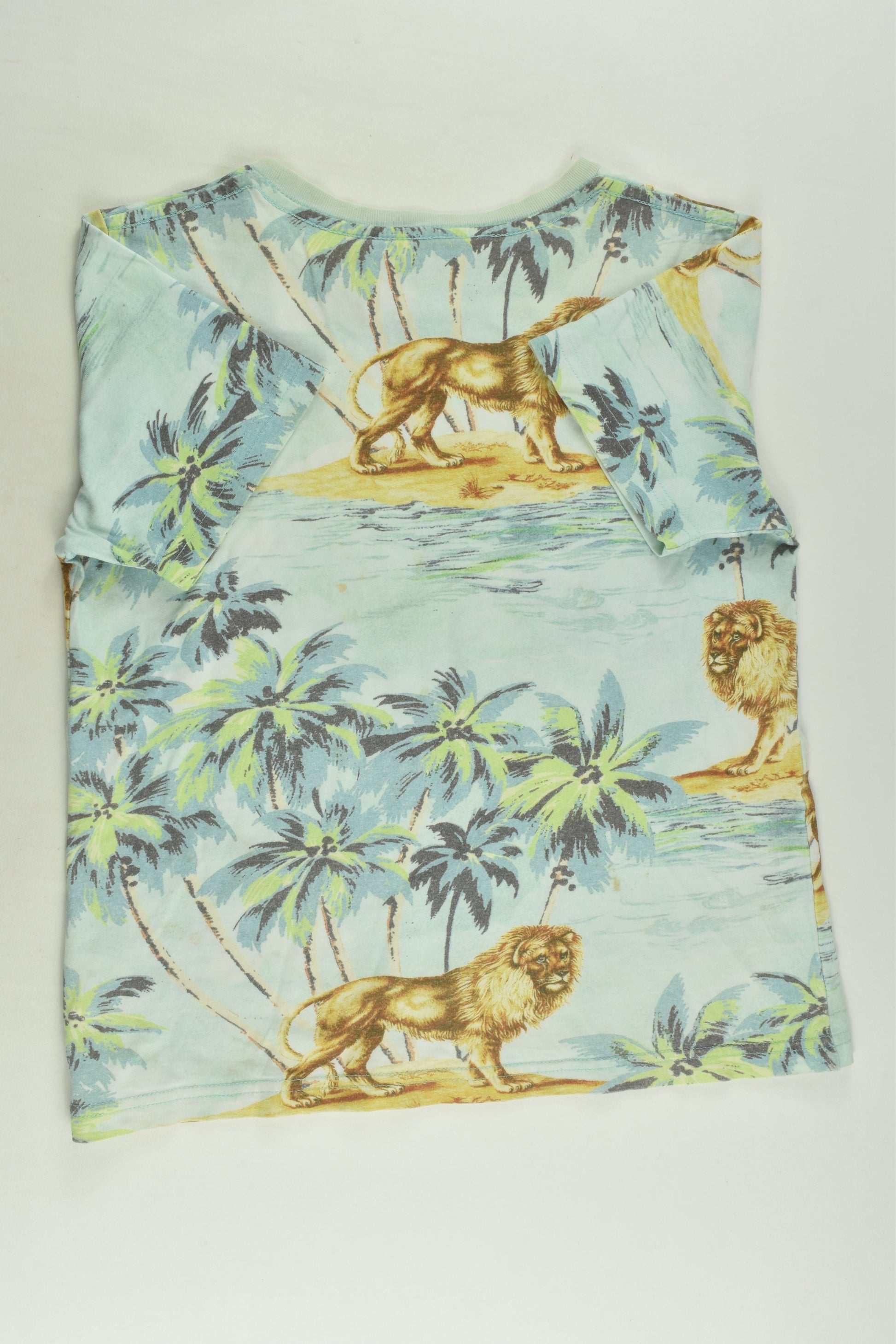 Paperwings Size 6 Lion T-shirt