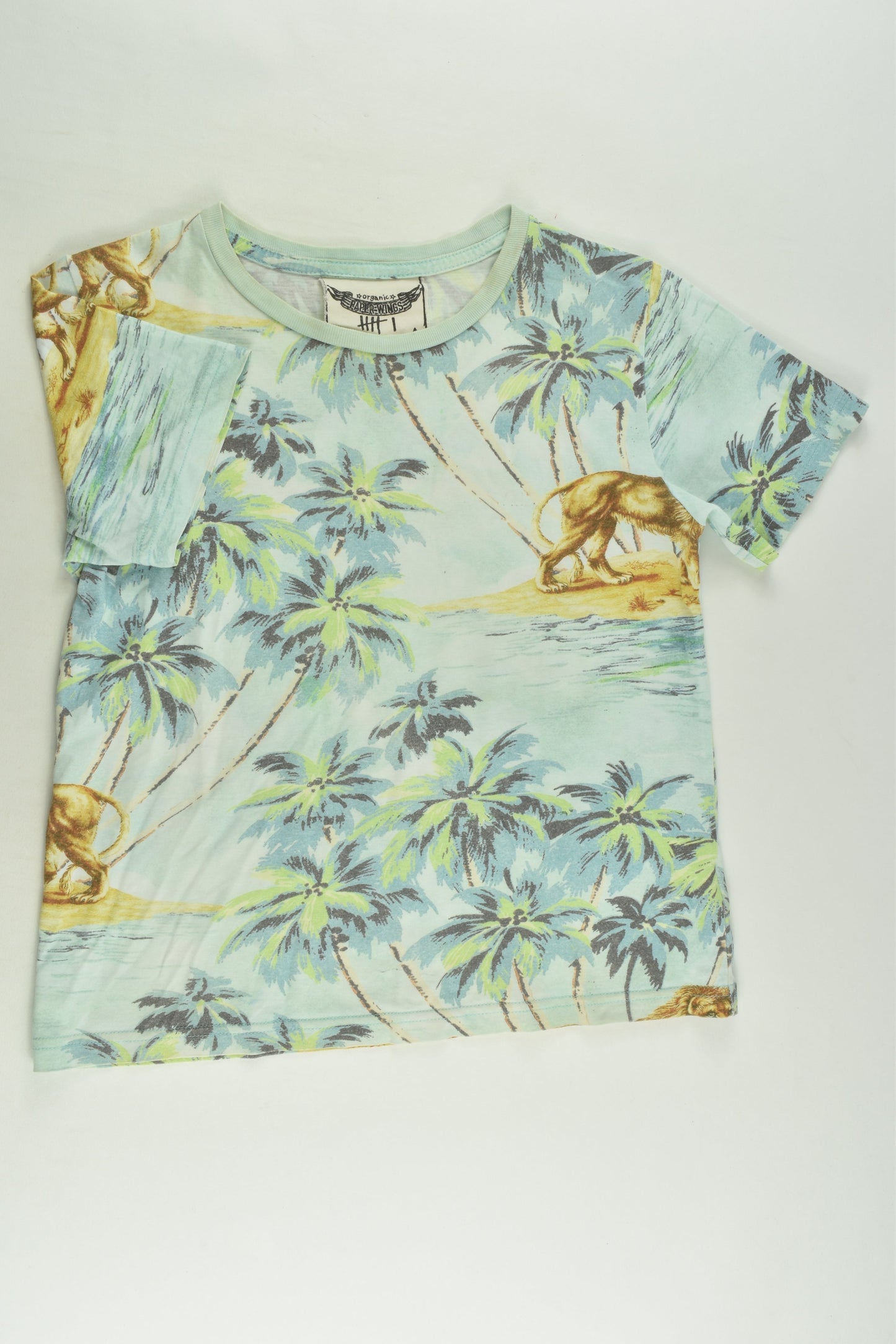 Paperwings Size 6 Lion T-shirt