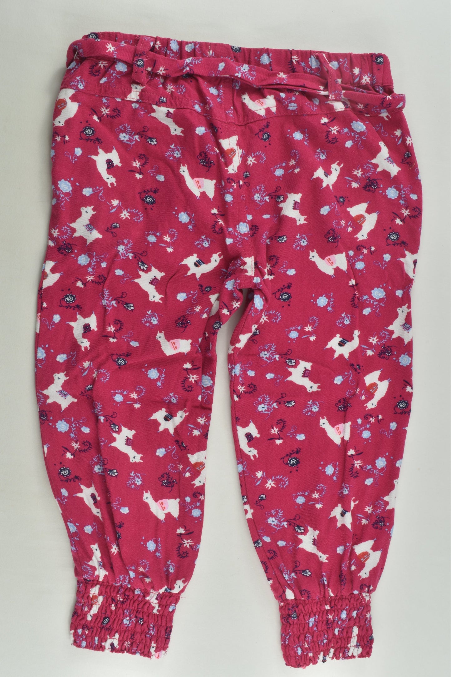Pumpkin Patch Size 2 Llama Pants