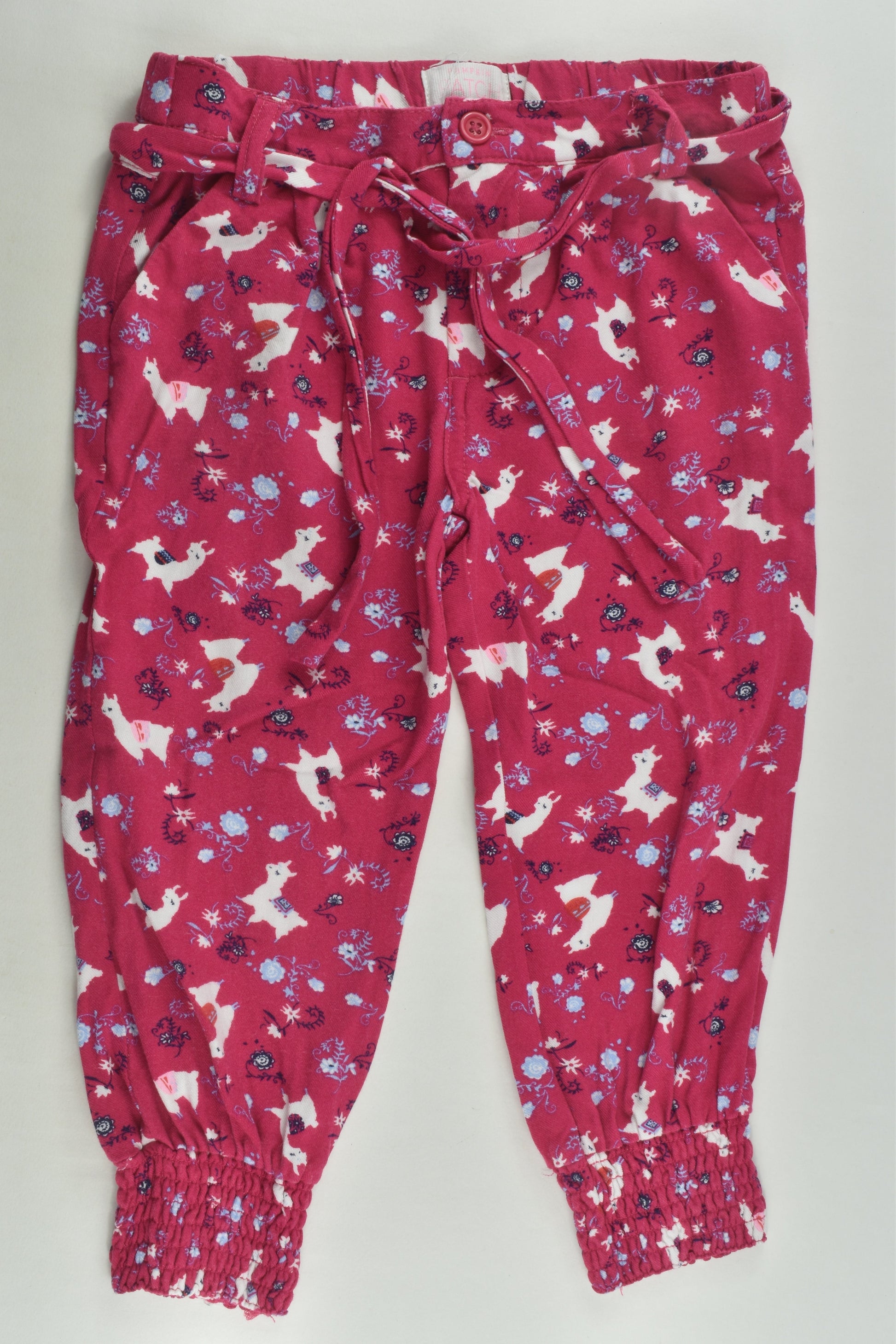 Pumpkin Patch Size 2 Llama Pants