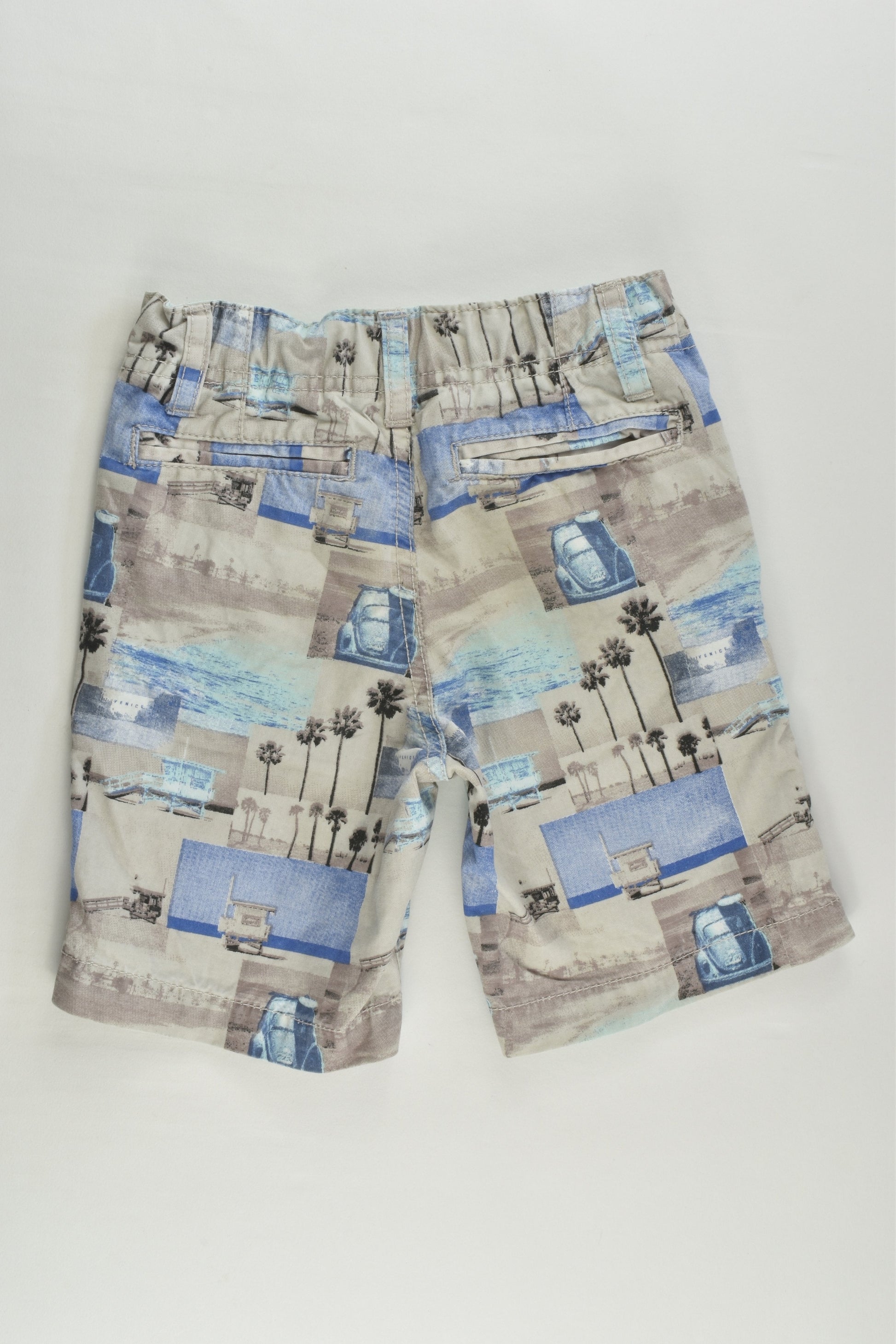 Pumpkin Patch Size 2 Shorts