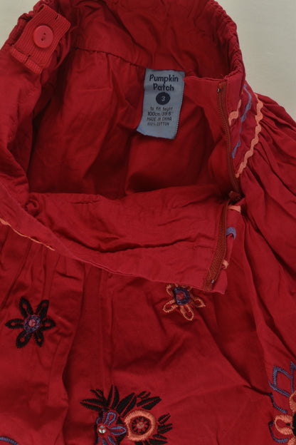 Pumpkin Patch Size 3 Lined Floral Embroidery Skirt