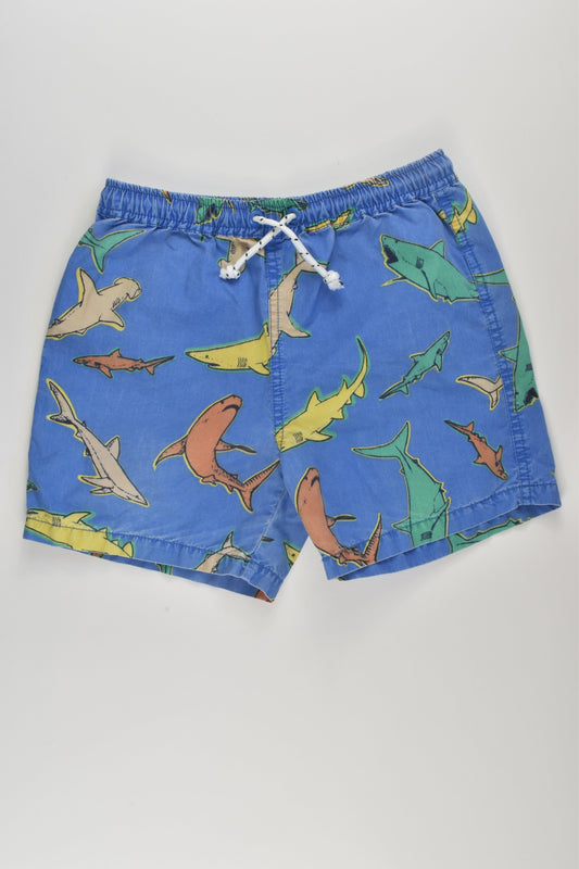 Seed Heritage Size 7 Shark Shorts