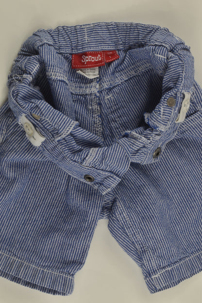 Sprout Size 1 Shorts