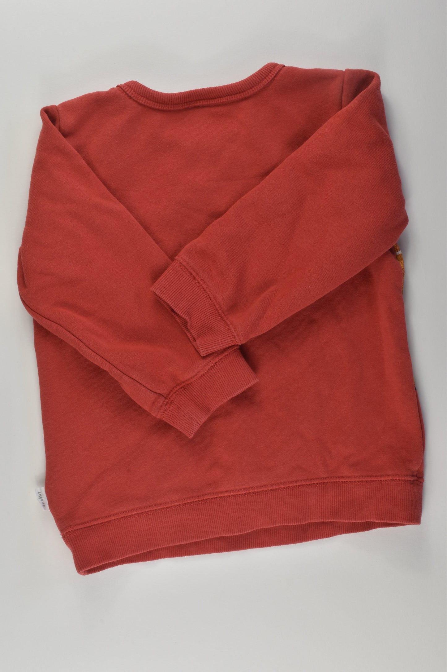 Sprout Size 2 Bear Sweater