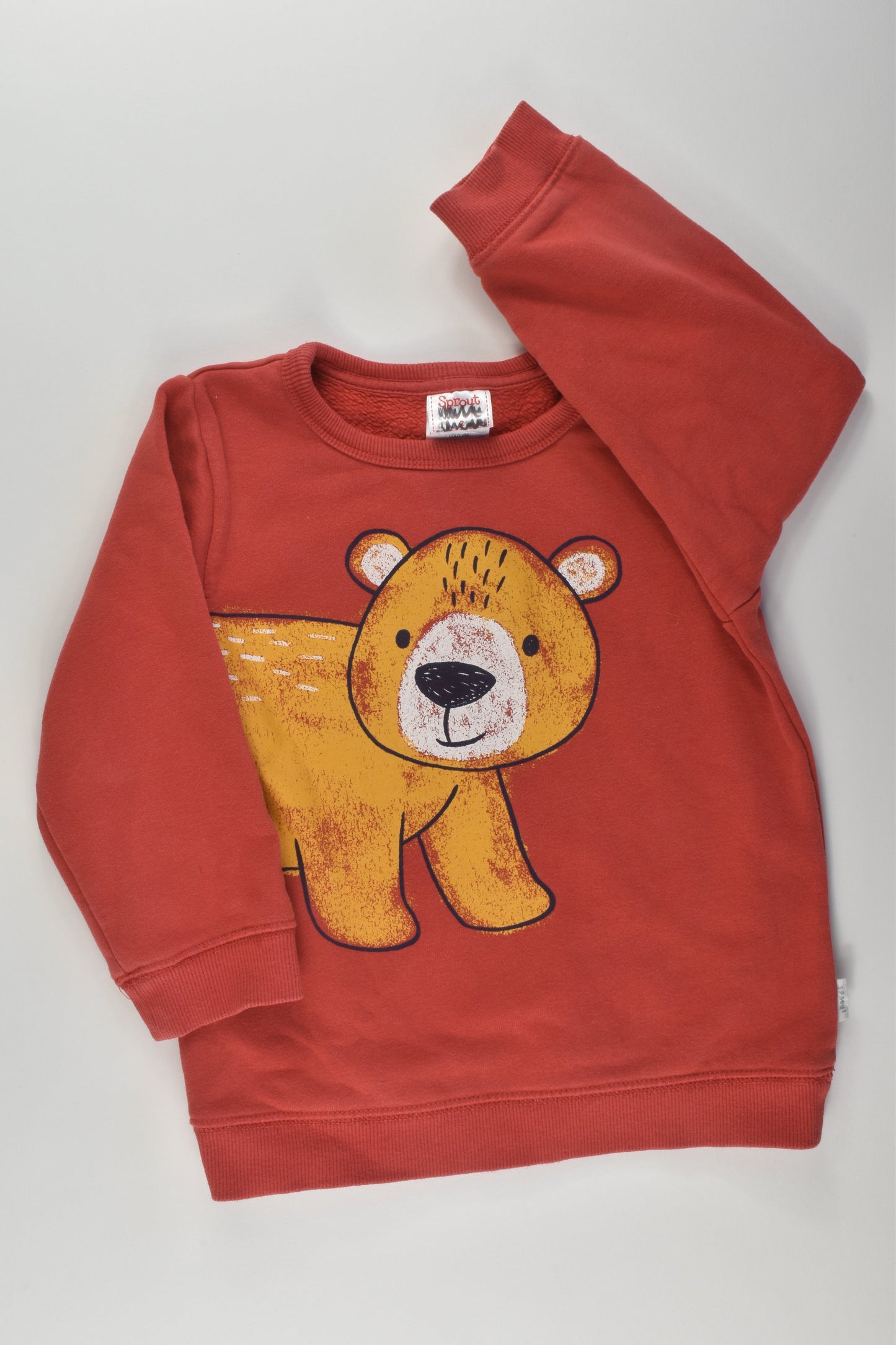 Sprout Size 2 Bear Sweater