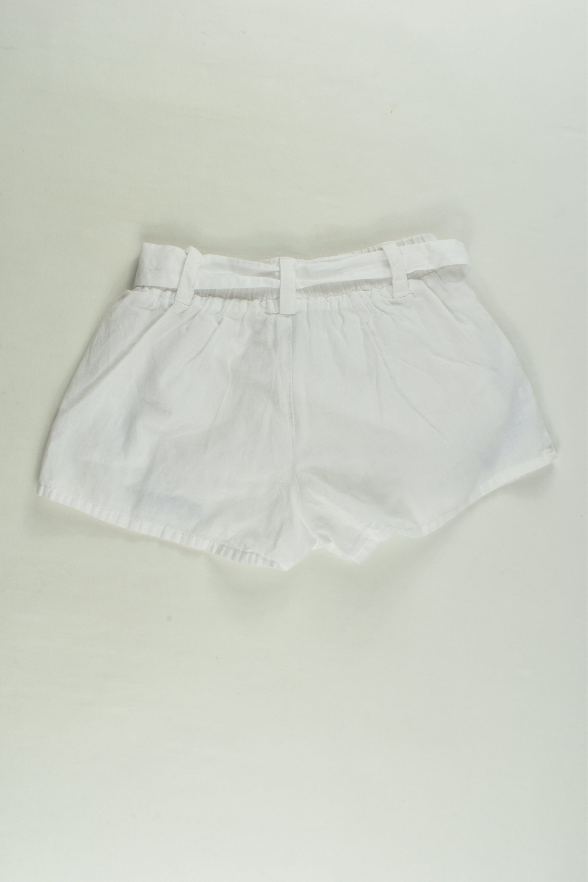 Target Size 0 Lined Embroidery Shorts