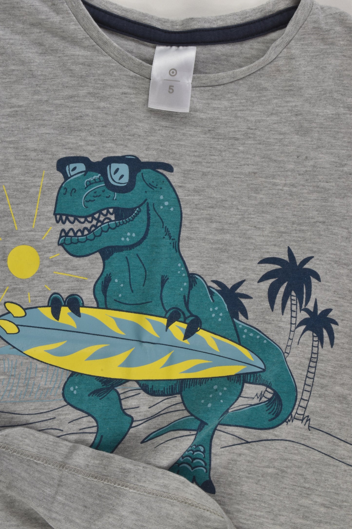 Target Size 5 Surfing Dinosaur T-shirt