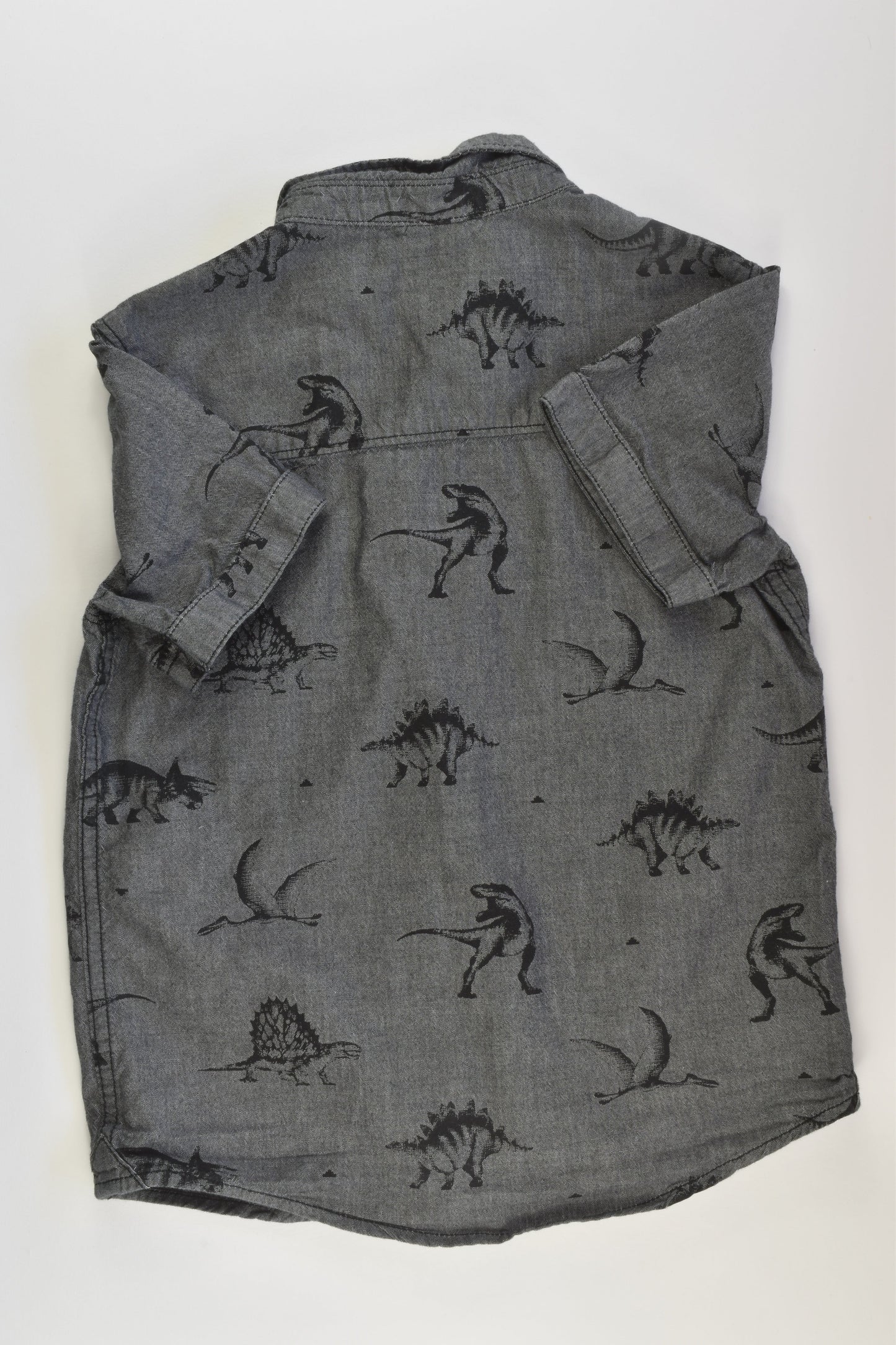 Target Size 6 Dinosaur T-shirt