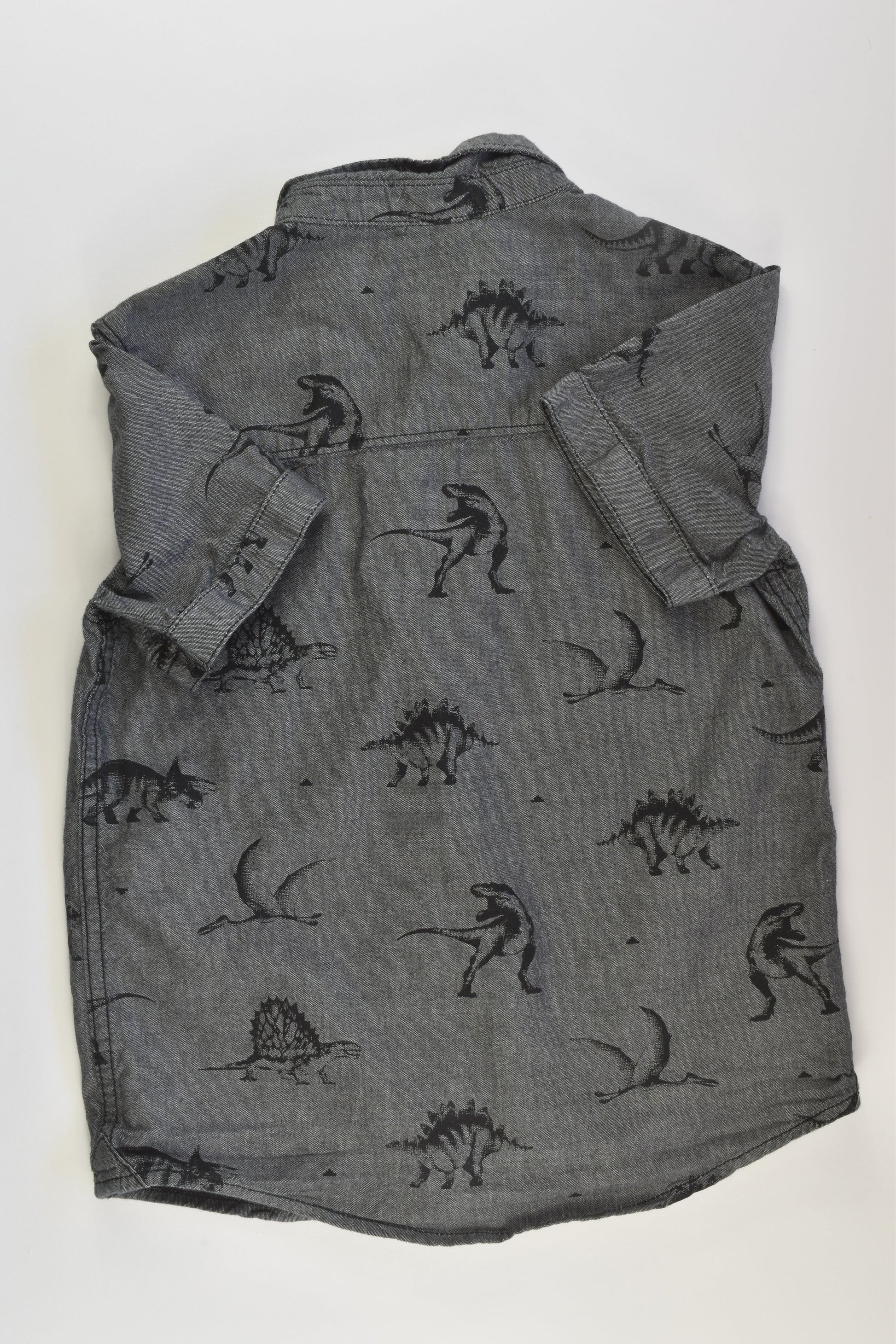 Target Size 6 Dinosaur T-shirt