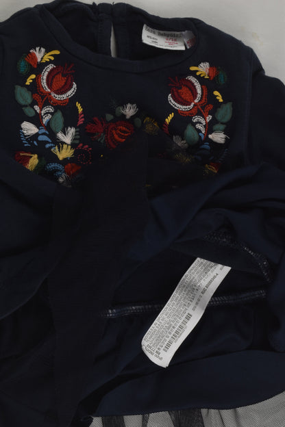 Zara Size 0 Embroidery Dress