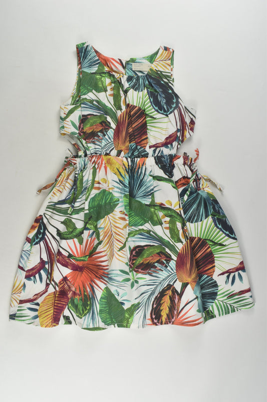 Zara Size 6 Dress