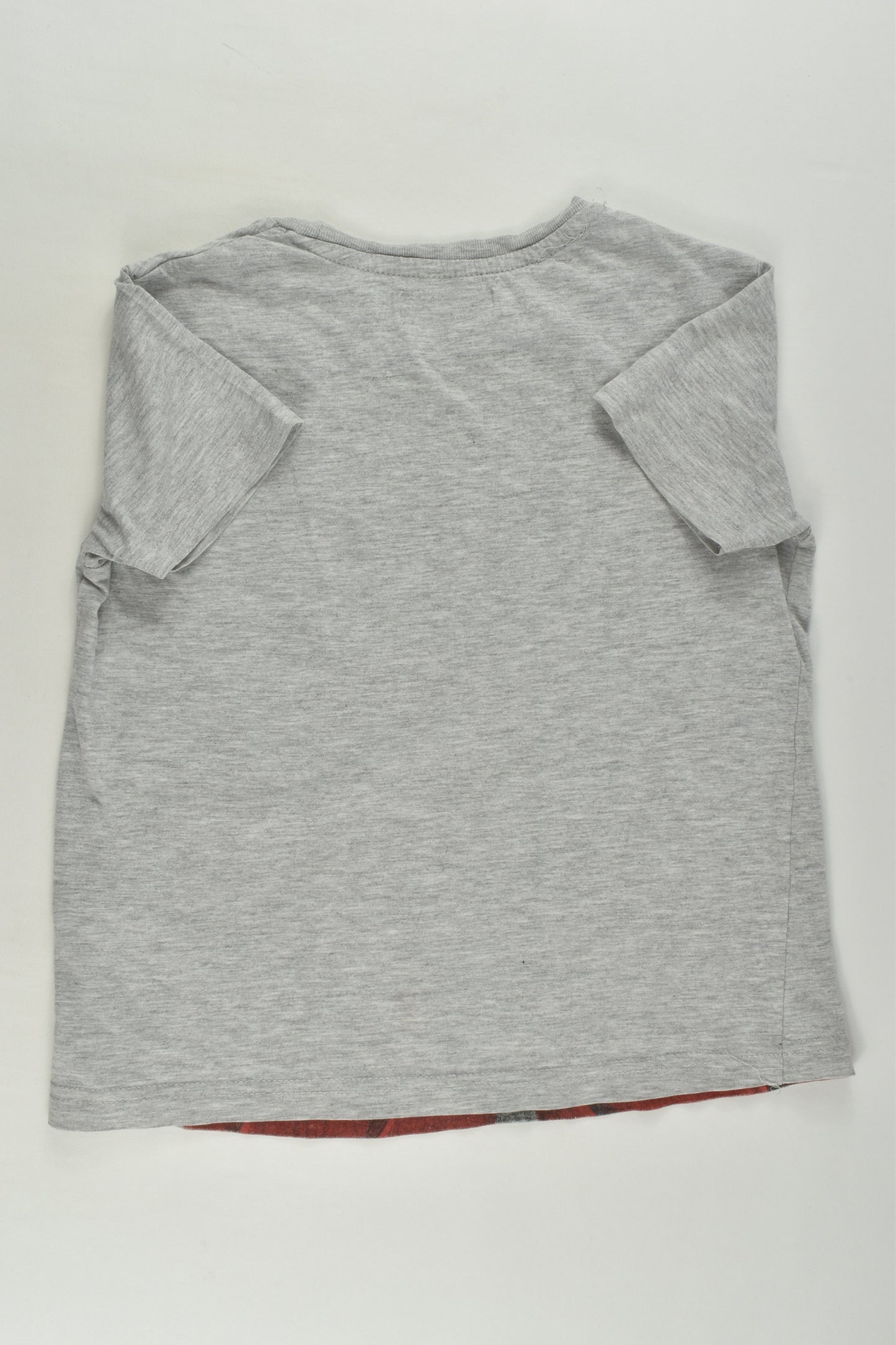 Zara Size 6 Lion T-shirt