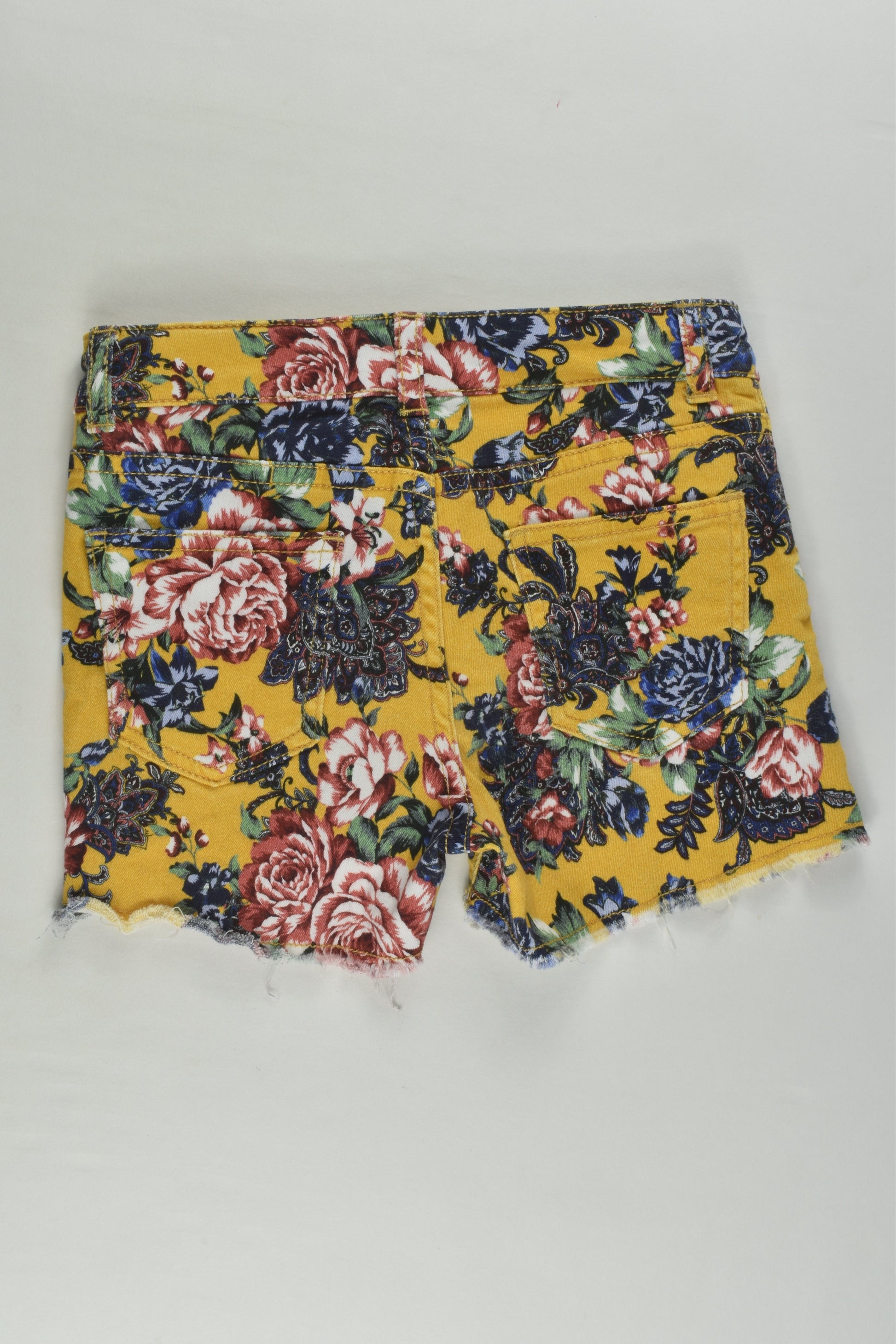 Zara Size 6 Stretchy Floral Shorts