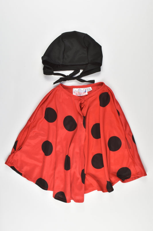 Carnival Size 2-3 Dress-up