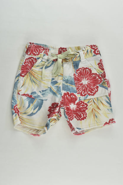 Fred Bare Size 0 Floral Shorts
