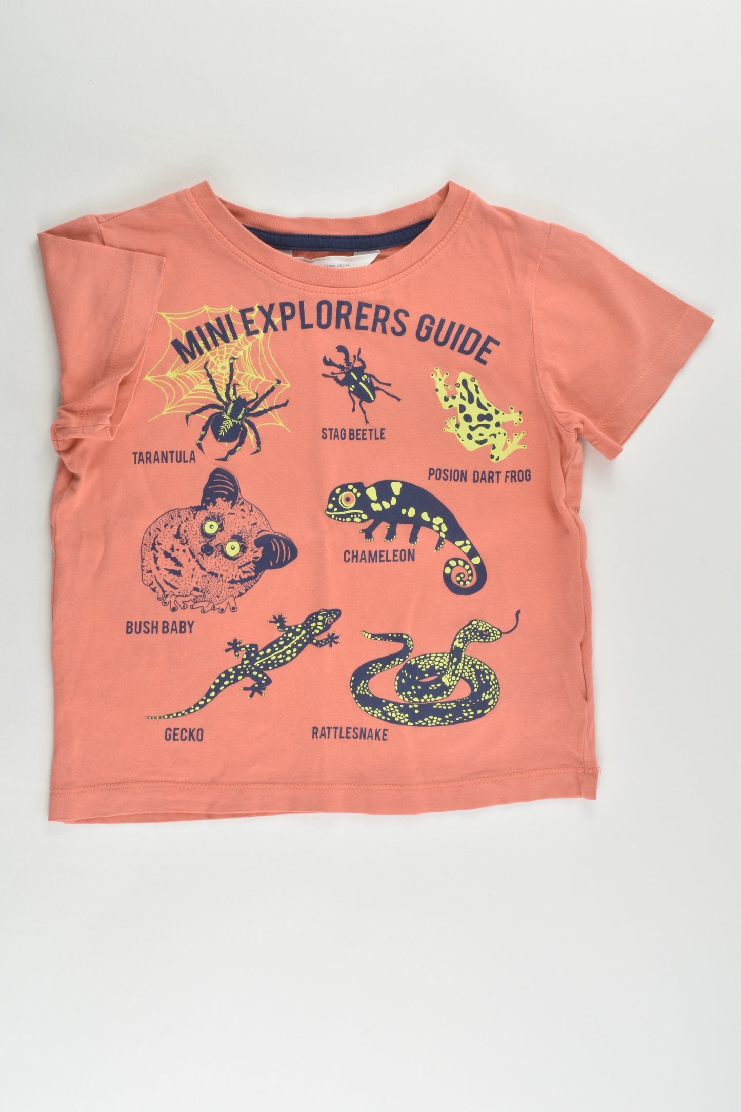 H&M Size 3-4 (98/104 cm) 'Mini Explorers Guide' T-shirt