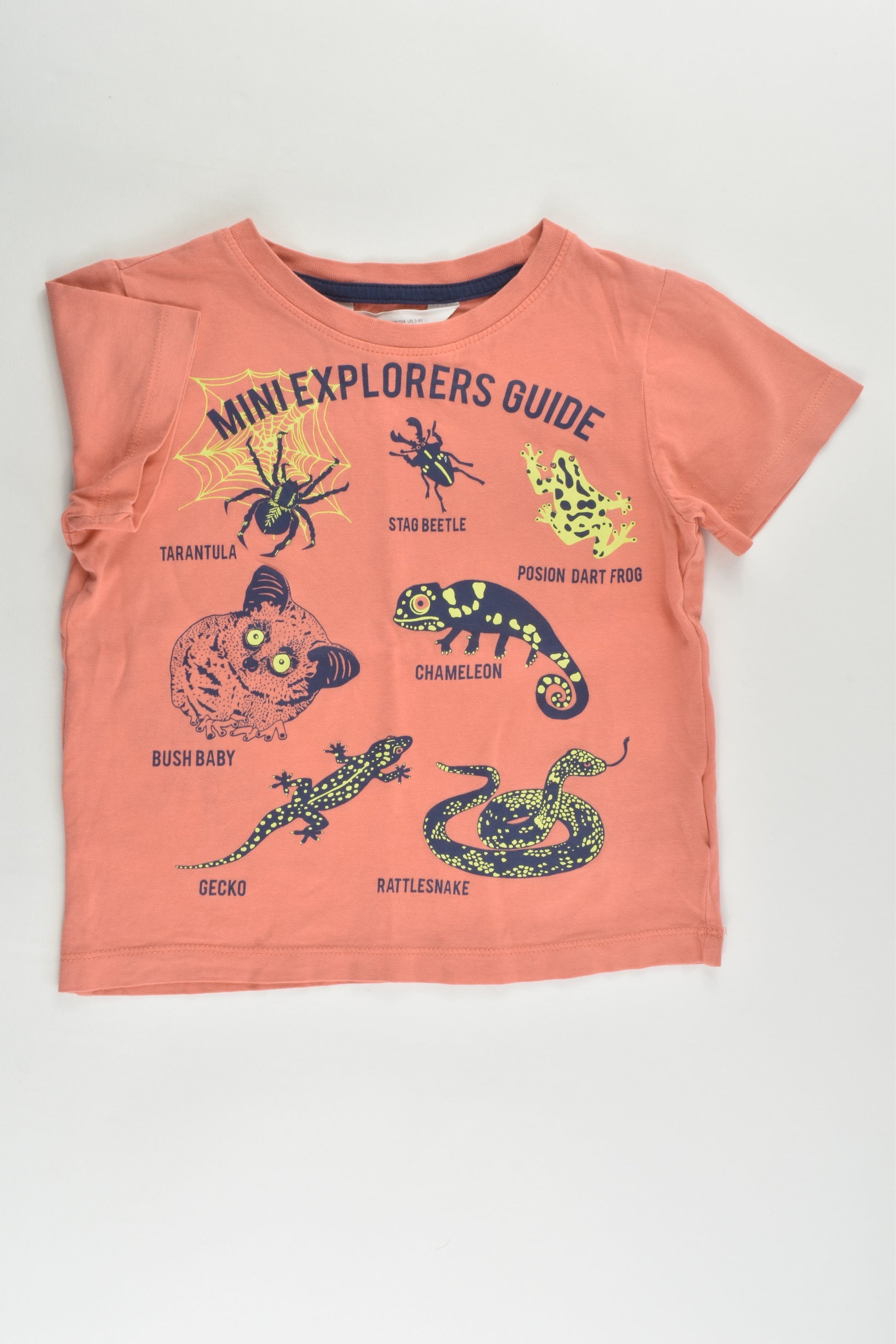 H&M Size 3-4 (98/104 cm) 'Mini Explorers Guide' T-shirt