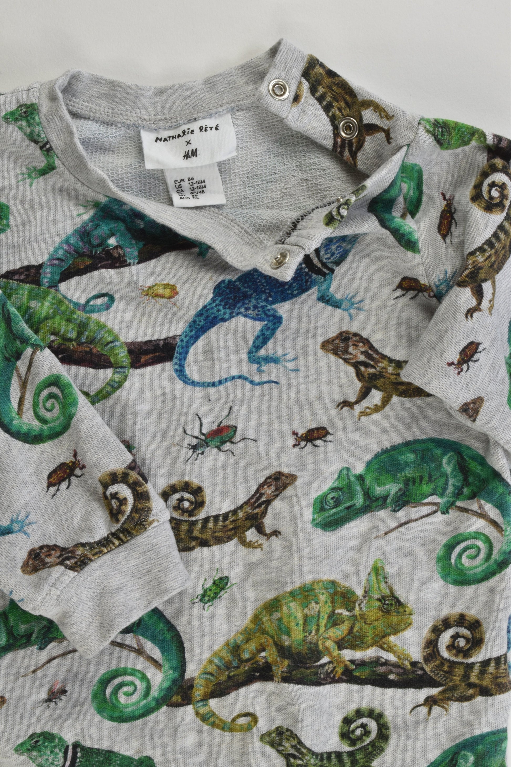 Nathalie Lété for H&M Size 12-18 months (86 cm, 1-2) Chameleons and Bugs Sweater