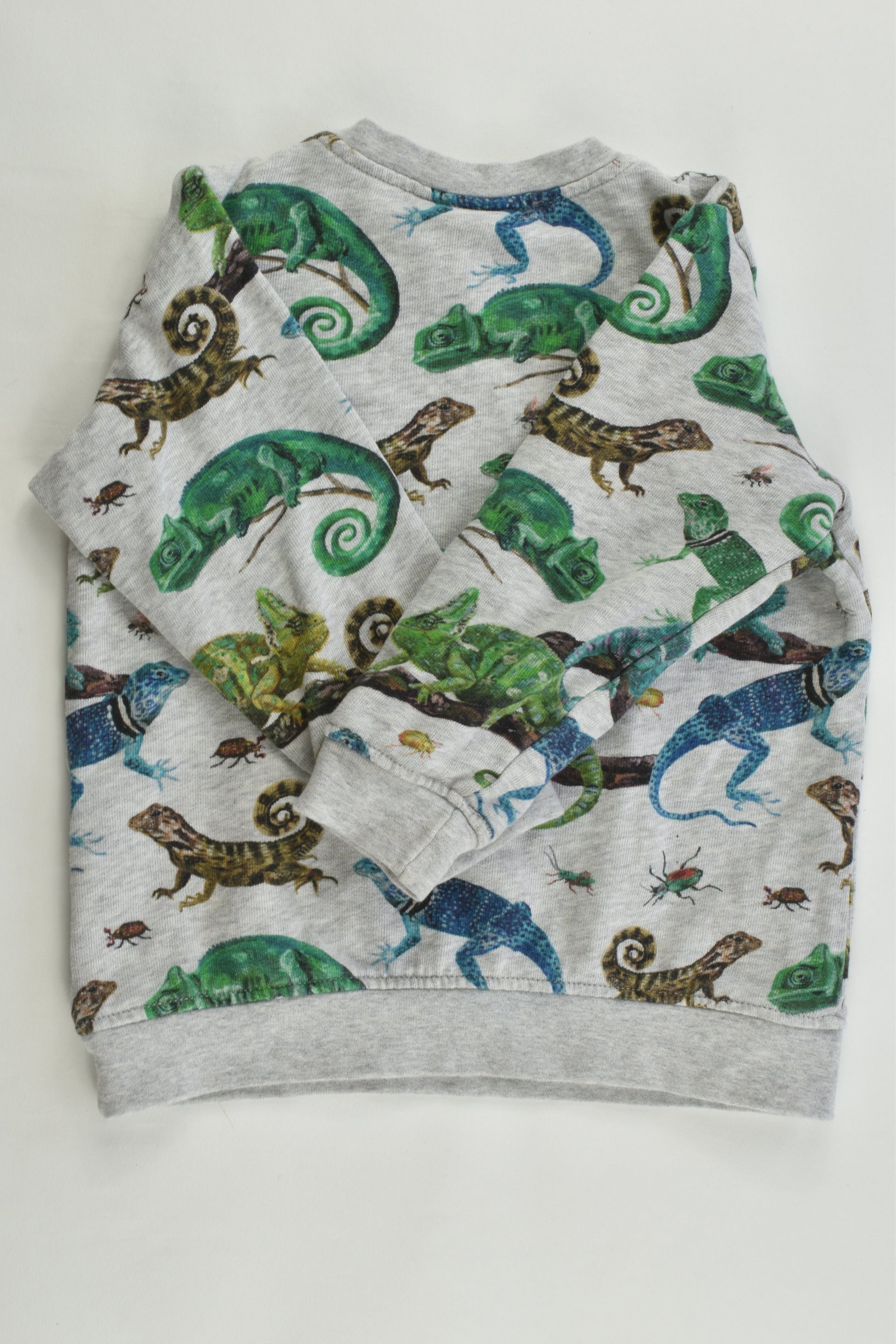 Nathalie Lété for H&M Size 12-18 months (86 cm, 1-2) Chameleons and Bugs Sweater
