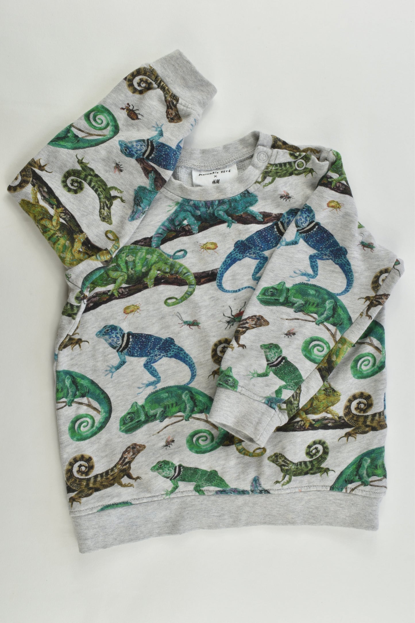 Nathalie Lété for H&M Size 12-18 months (86 cm, 1-2) Chameleons and Bugs Sweater