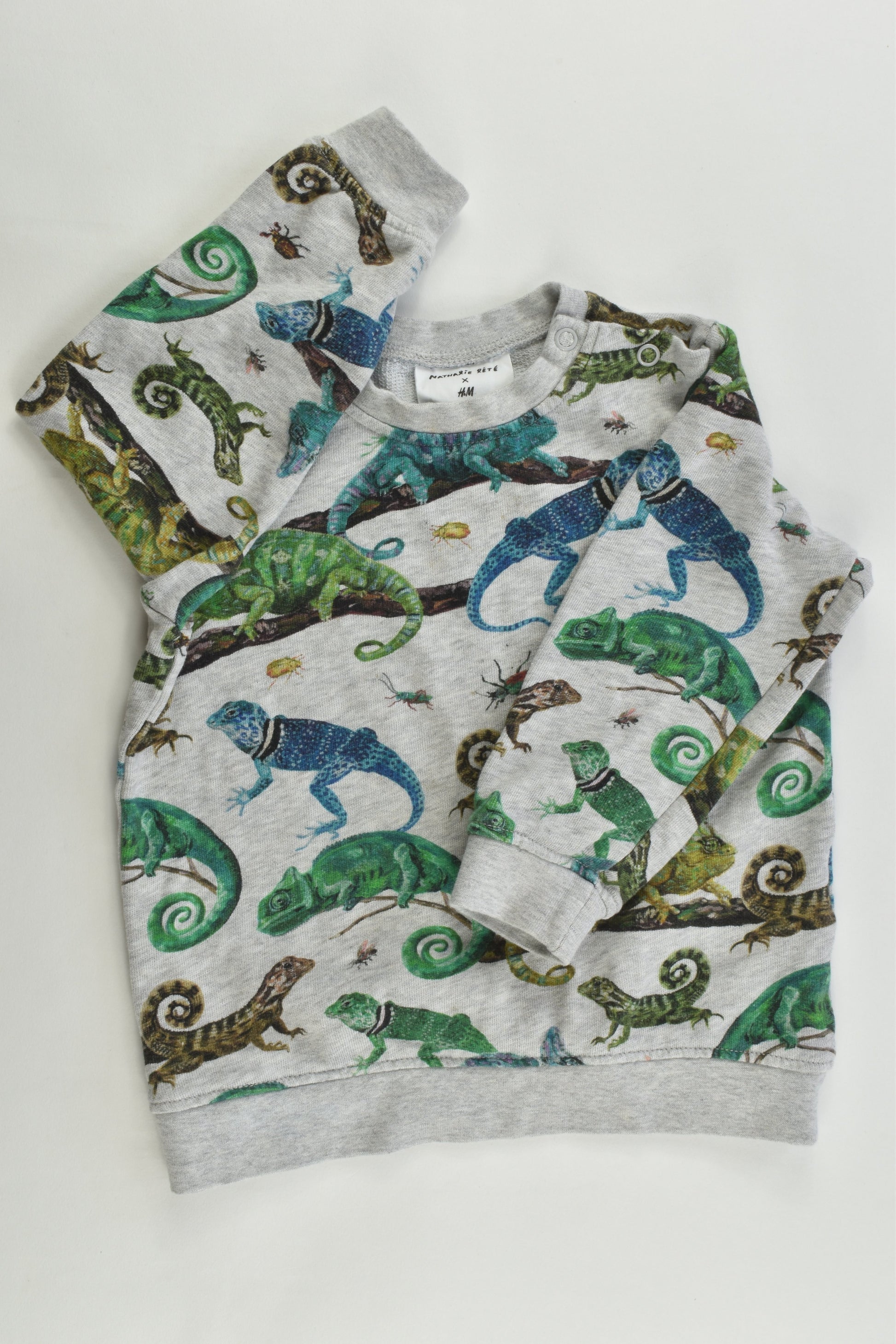 Nathalie Lété for H&M Size 12-18 months (86 cm, 1-2) Chameleons and Bugs Sweater