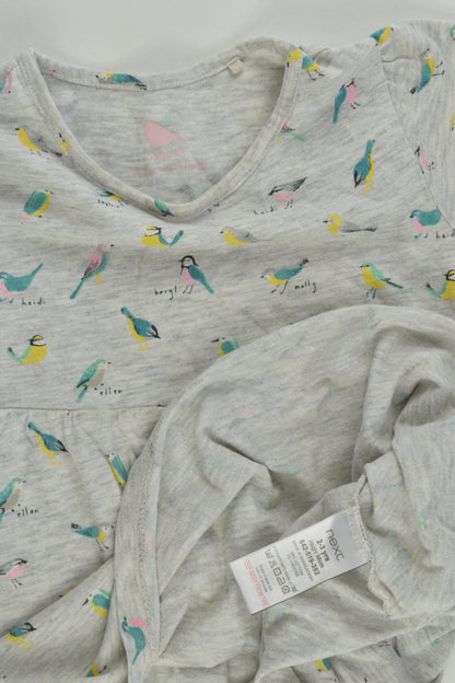 Next Size 2-3 Bird Dress